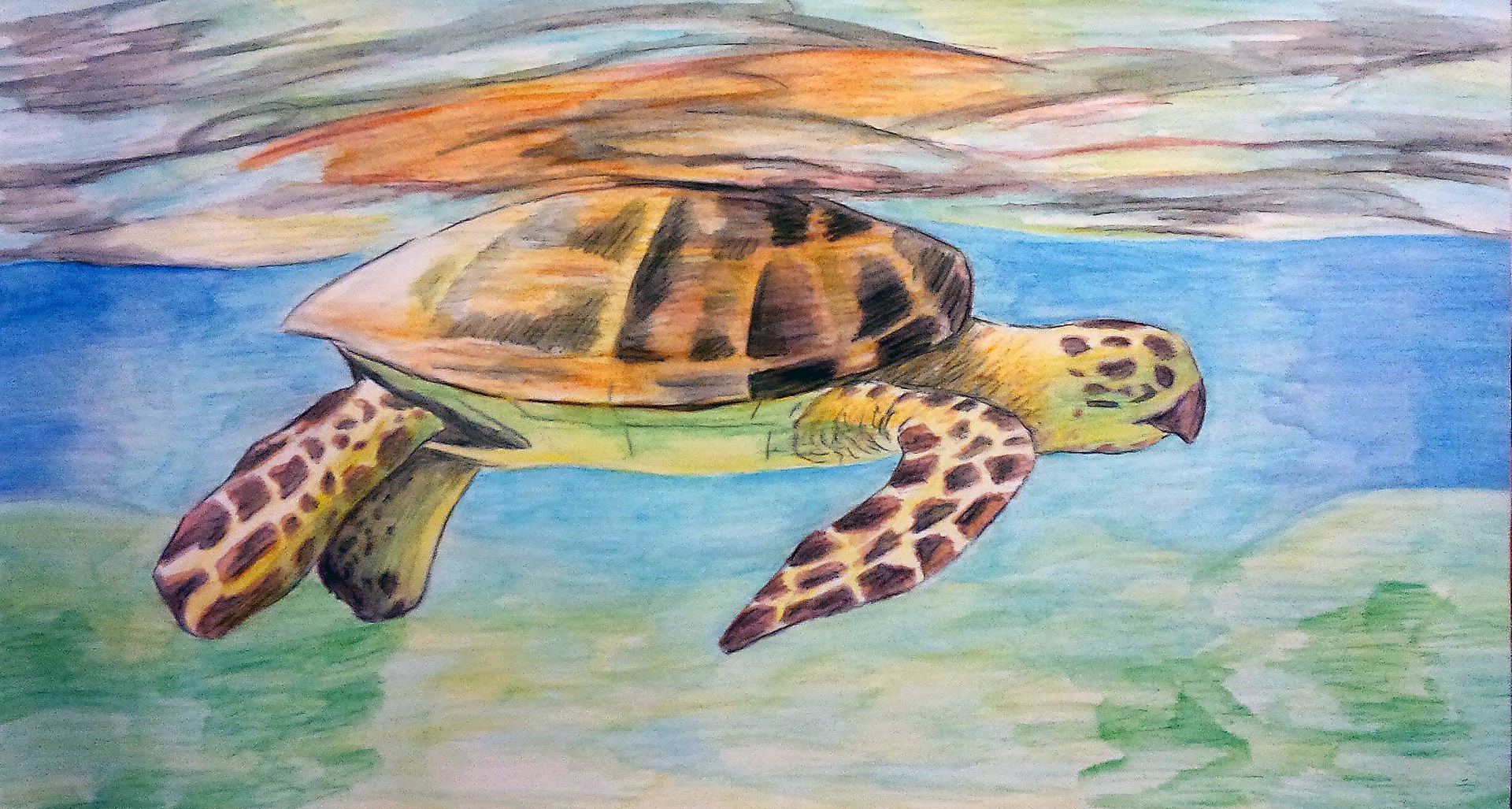 Underwater Turtle (2014) | Watercolor on Paper 27x49