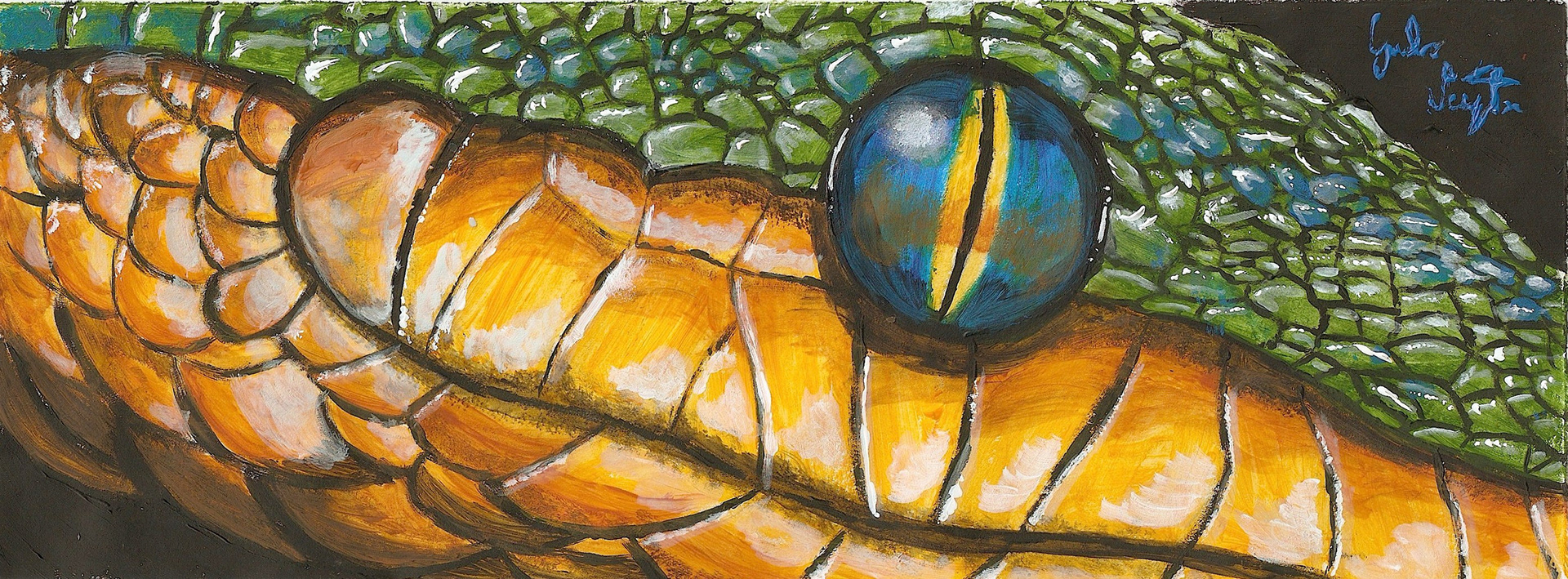 Occhio di Serpente (2012) | Acrilic on Canvas 10x26