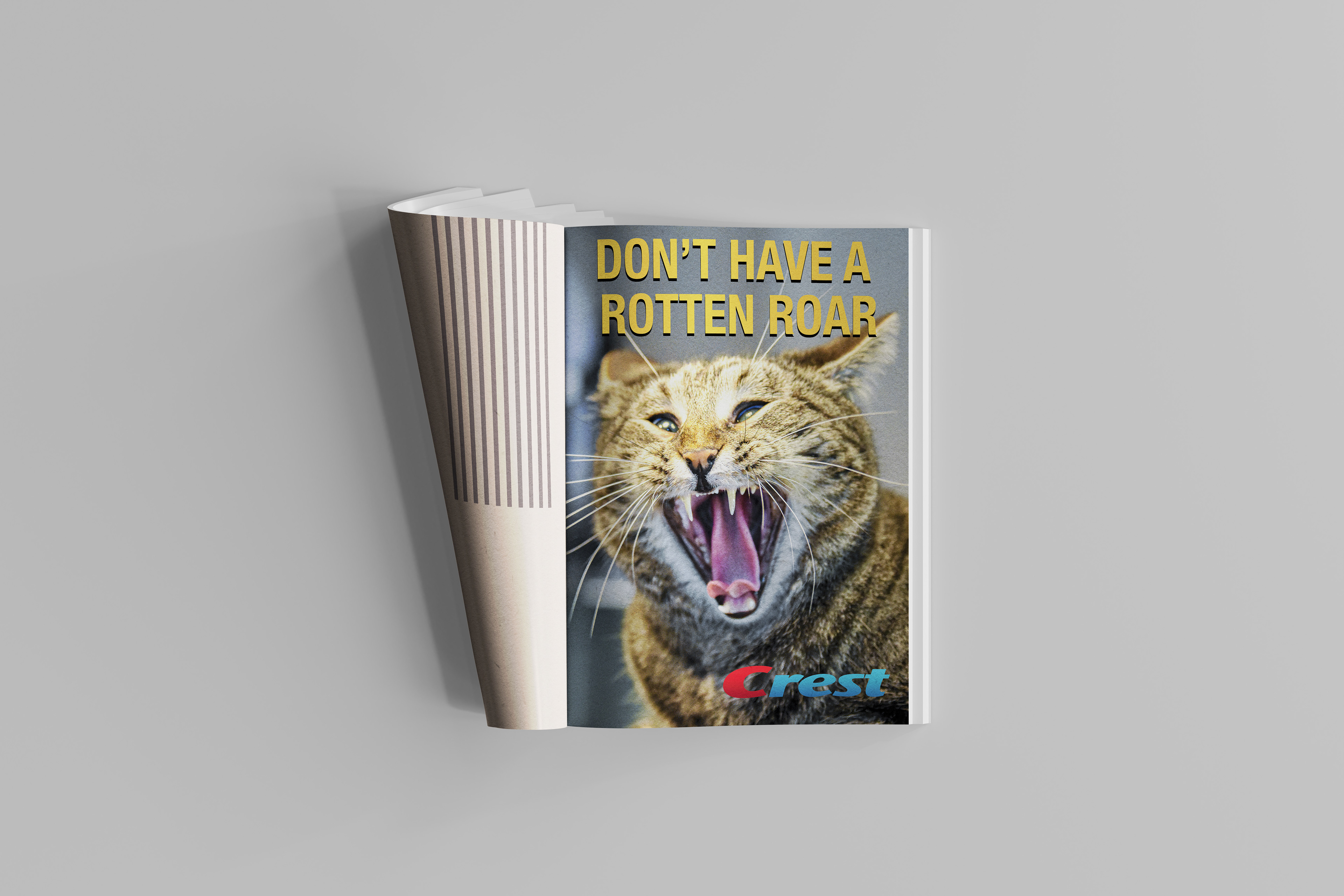 Toothpaste Ad Mockup