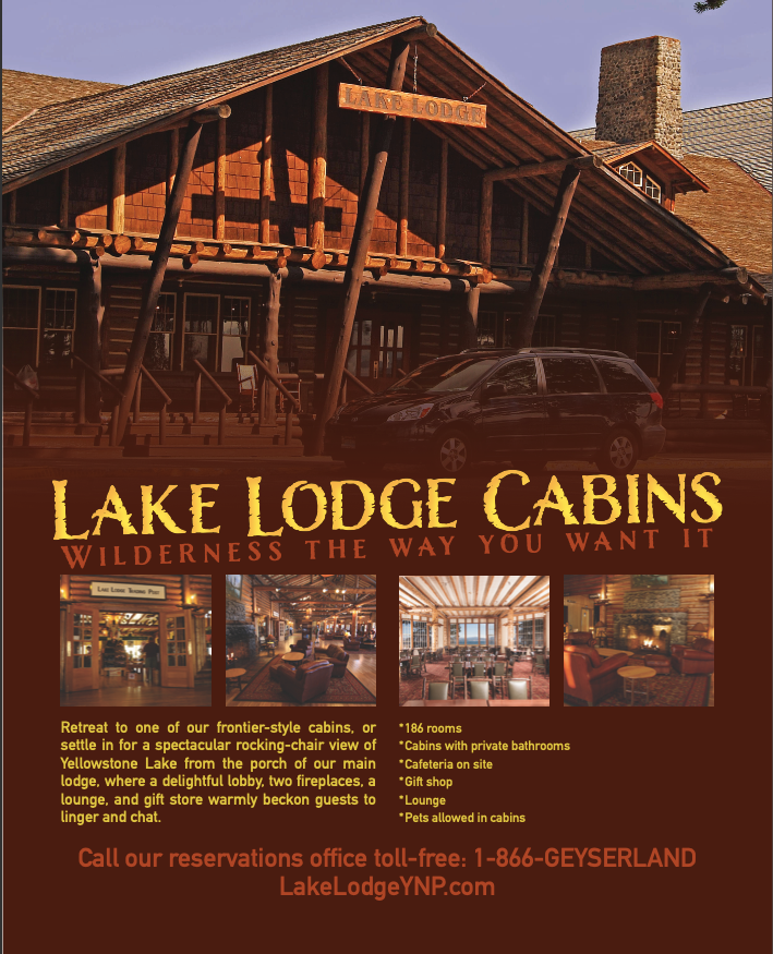 Magazine Ad Design