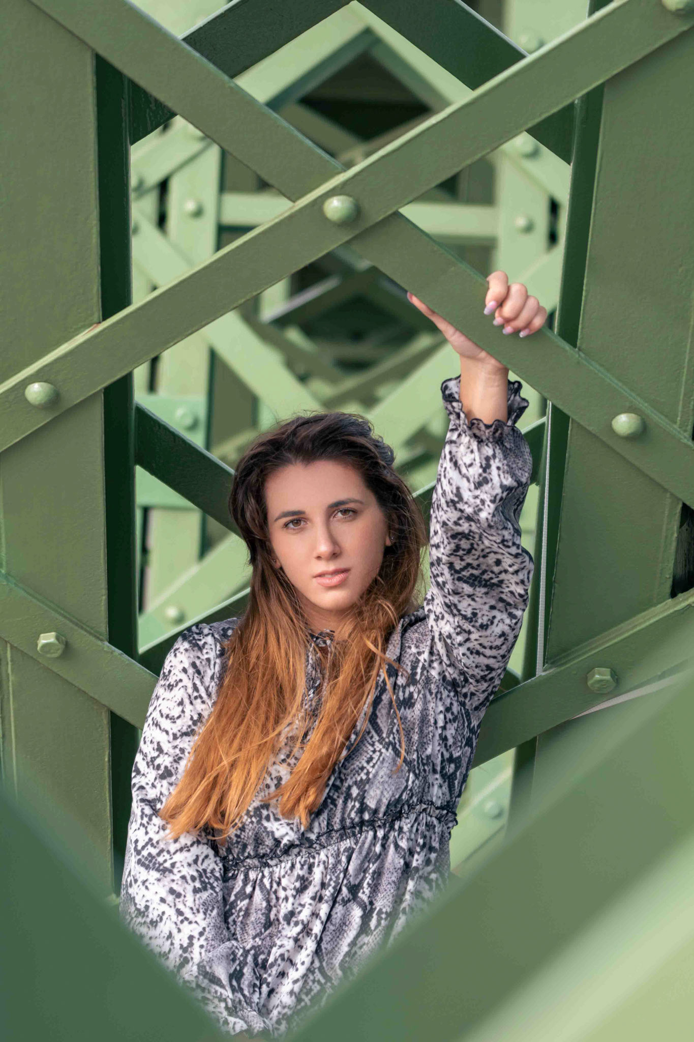 Fruzsi a Szabadság hídnál