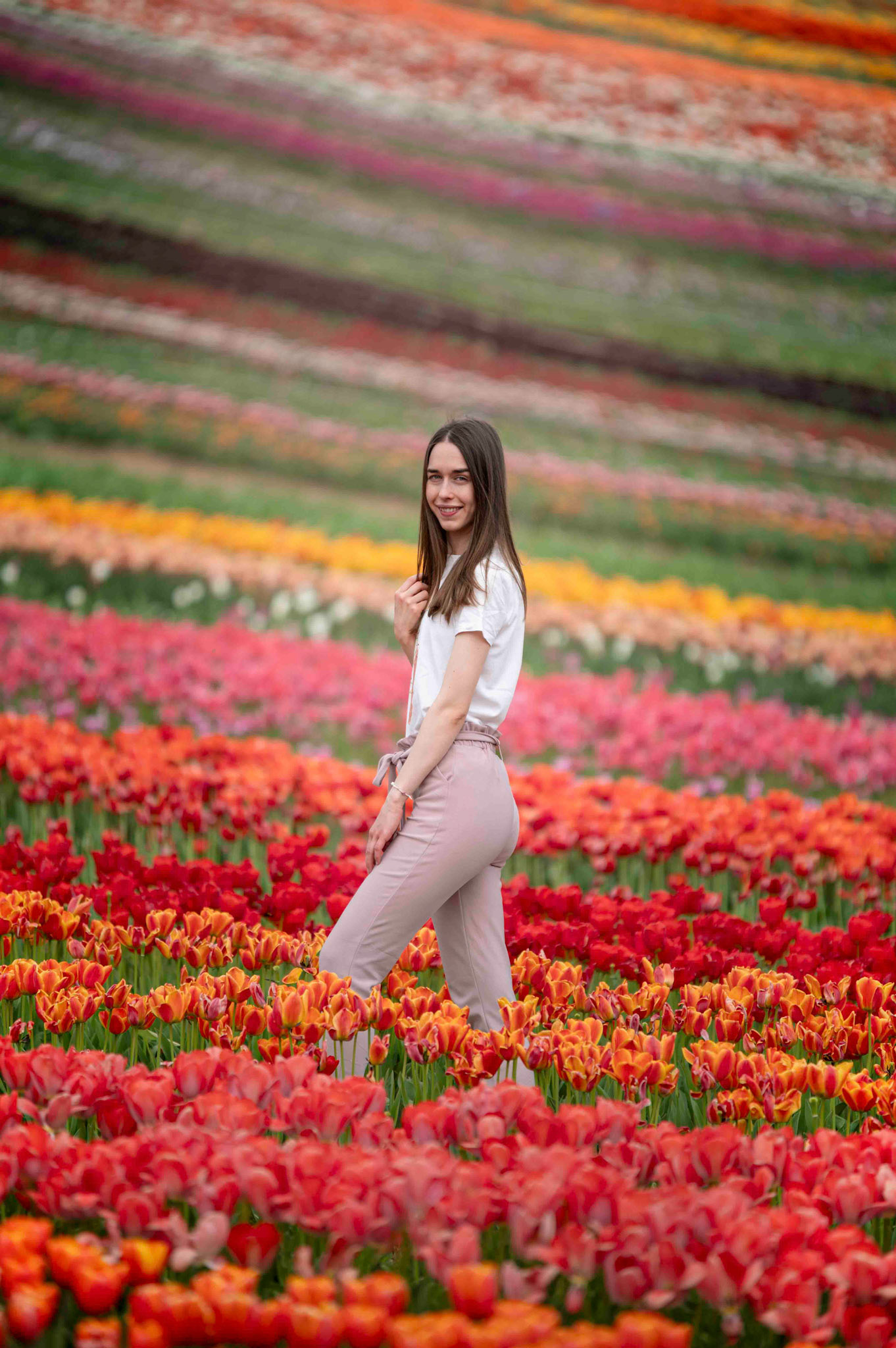 Réka tulipánföldön