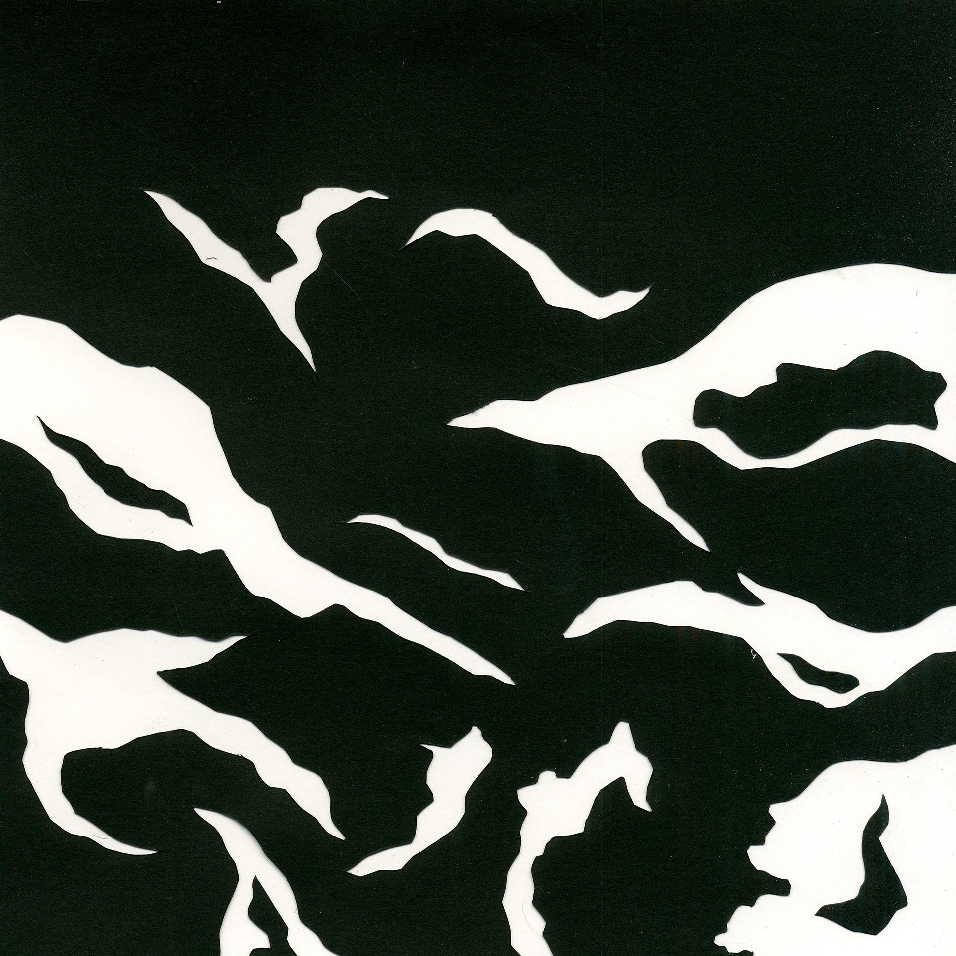 black and white abstract paper cut-out composition inspired by exposed roots