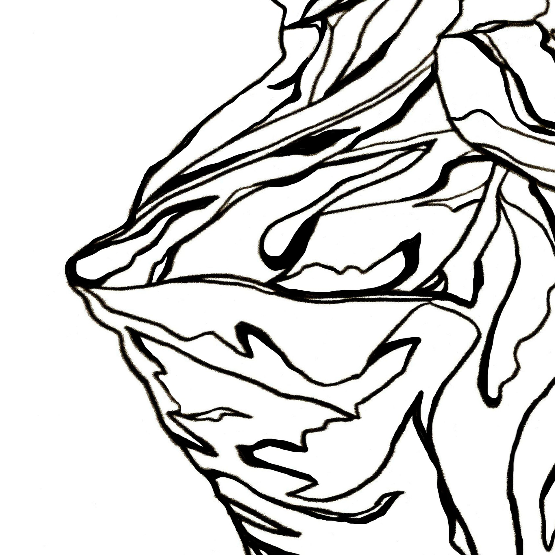 black and white contour drawing of a piece of cloth