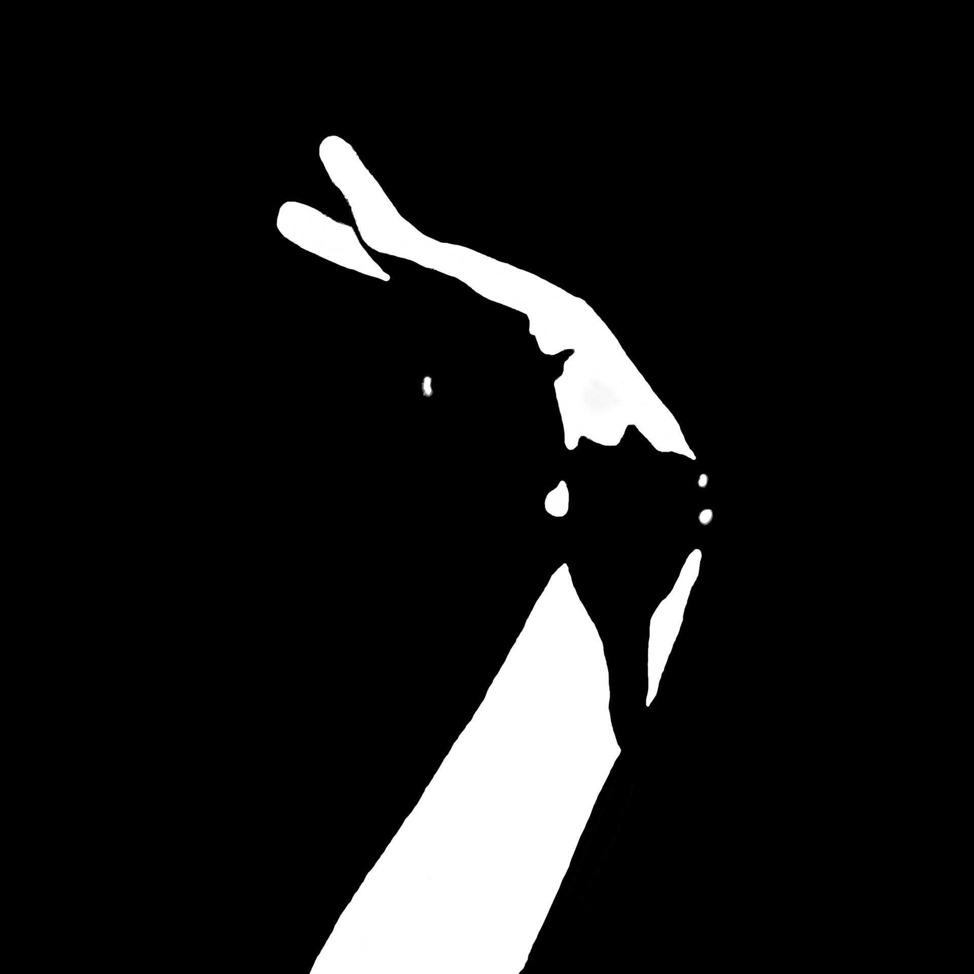 black and white simplified photo of a flamenco dancer's hand