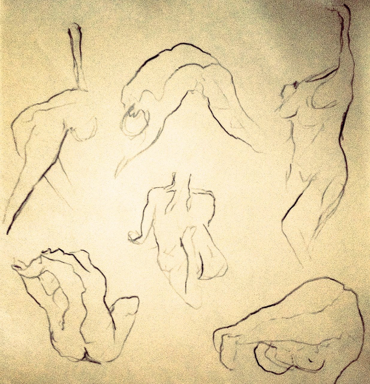 contour sketches of human model