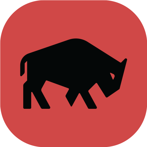 Bison 46
