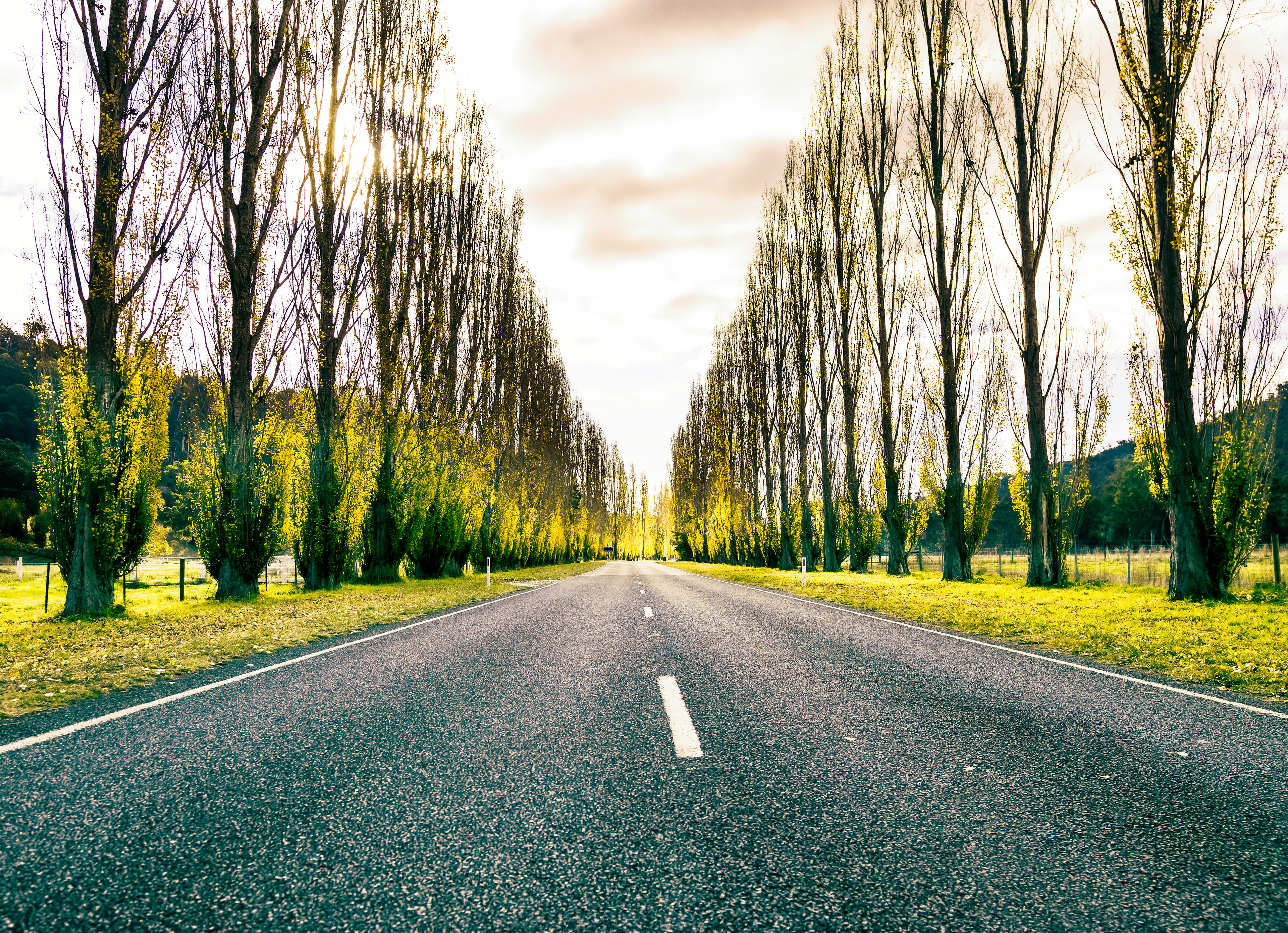 Autumn almost done at Gould Memorial Drive, Buxton Victoria