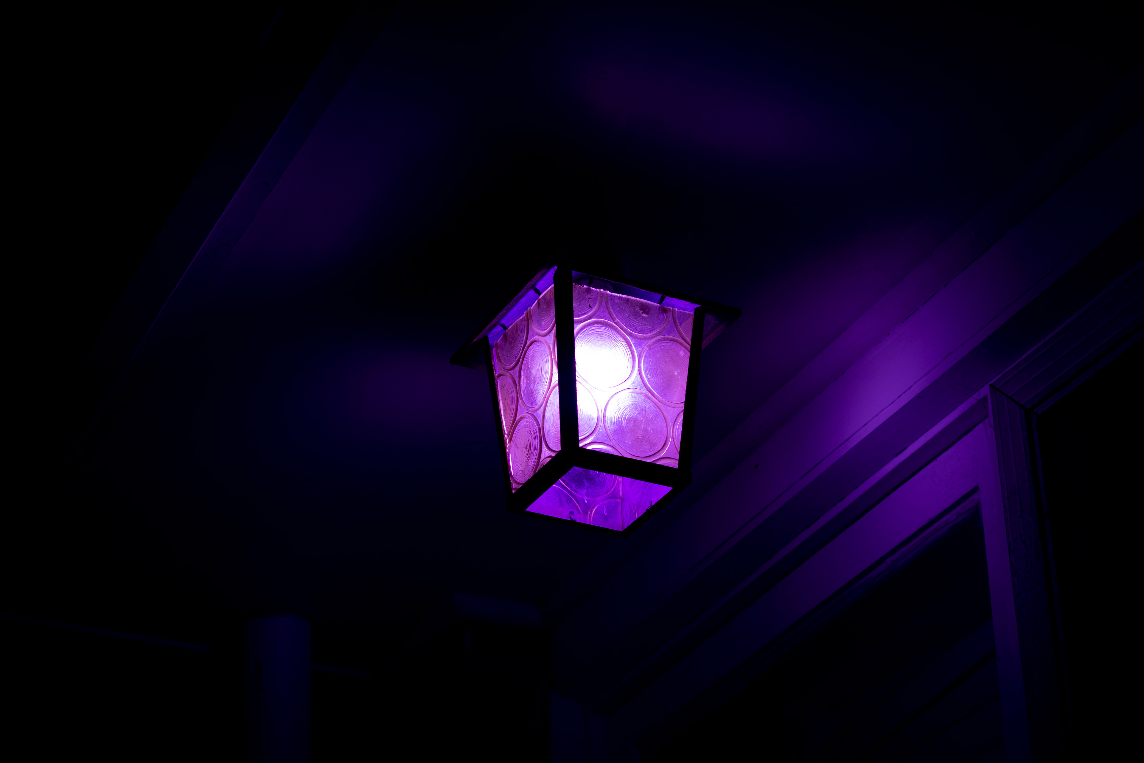 Purple Light
