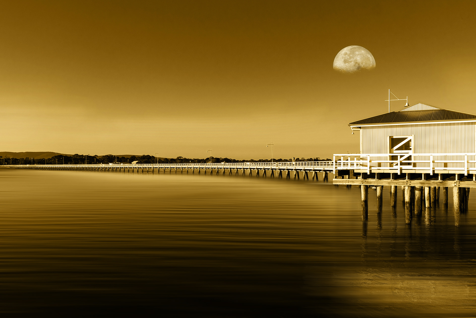 The power of gold. Golden hour at Port Welshpool, Victoria