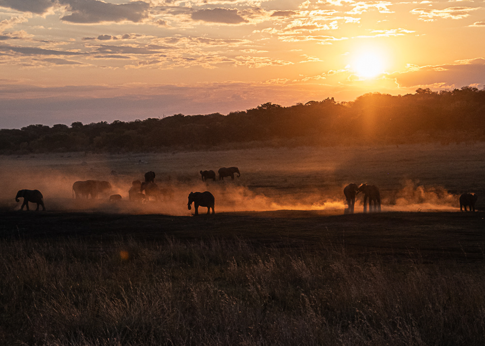 Sunset at the Watering Hole