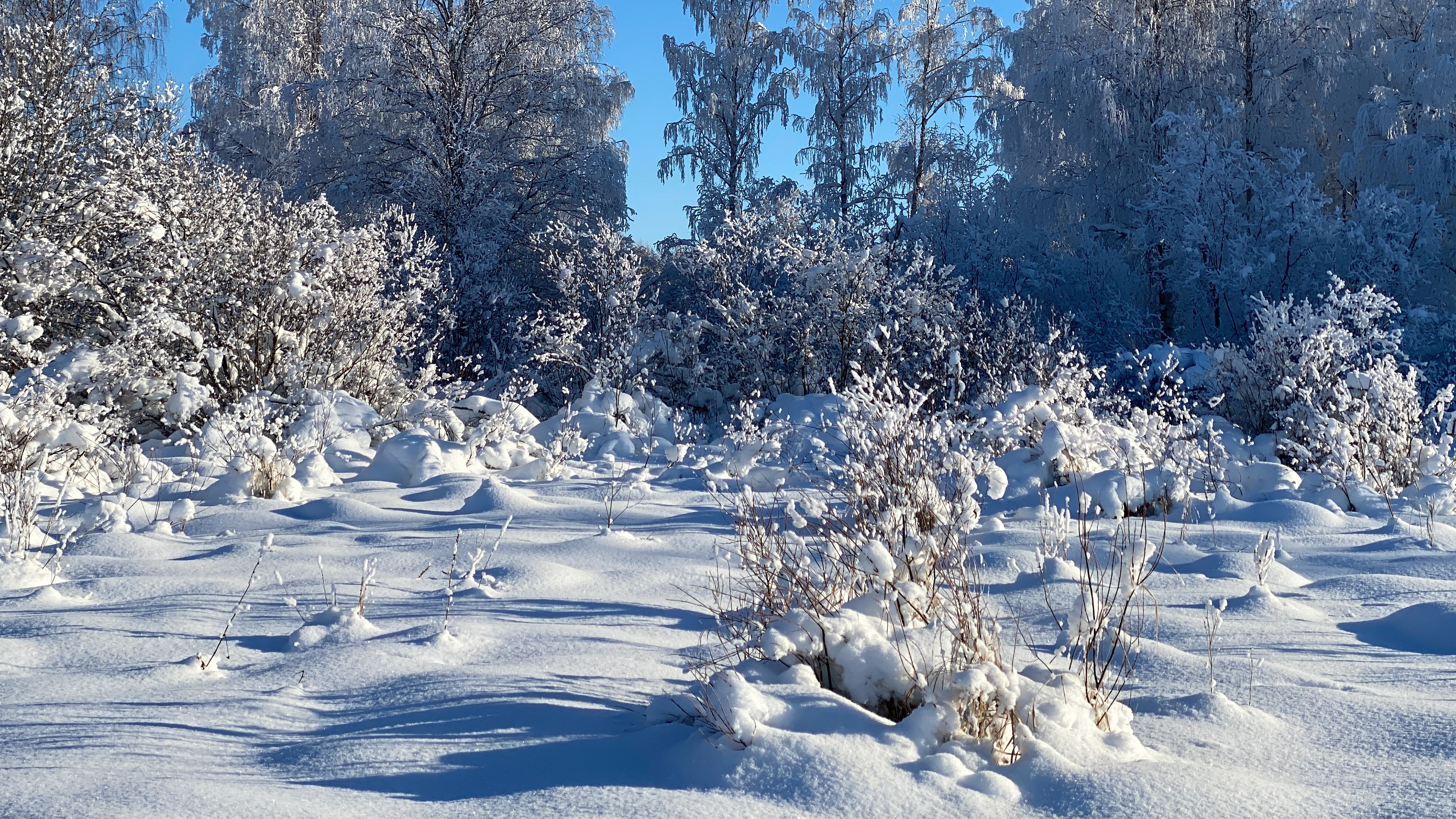 helmikuu 2021 february