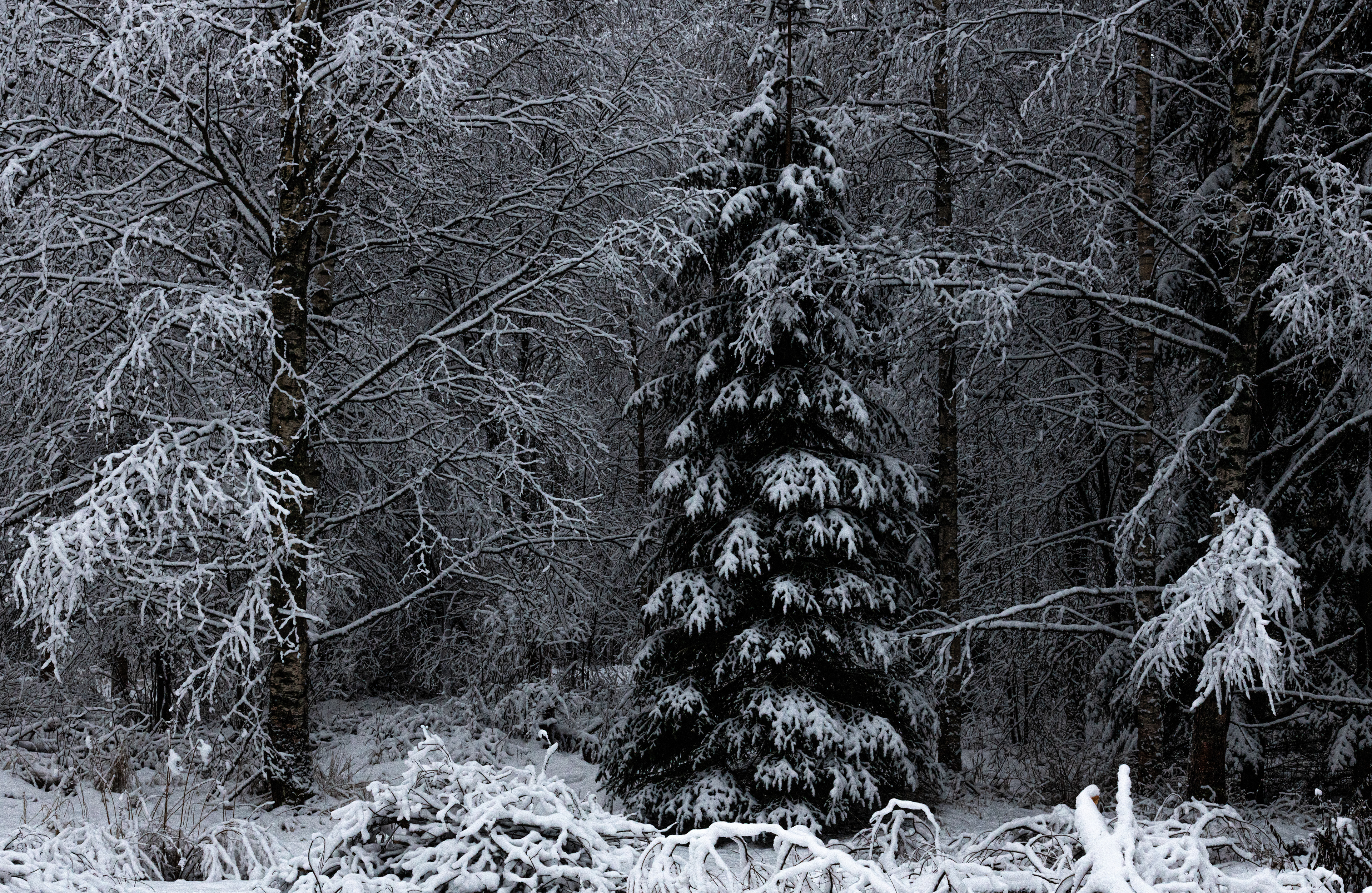 tammikuu 2021 january