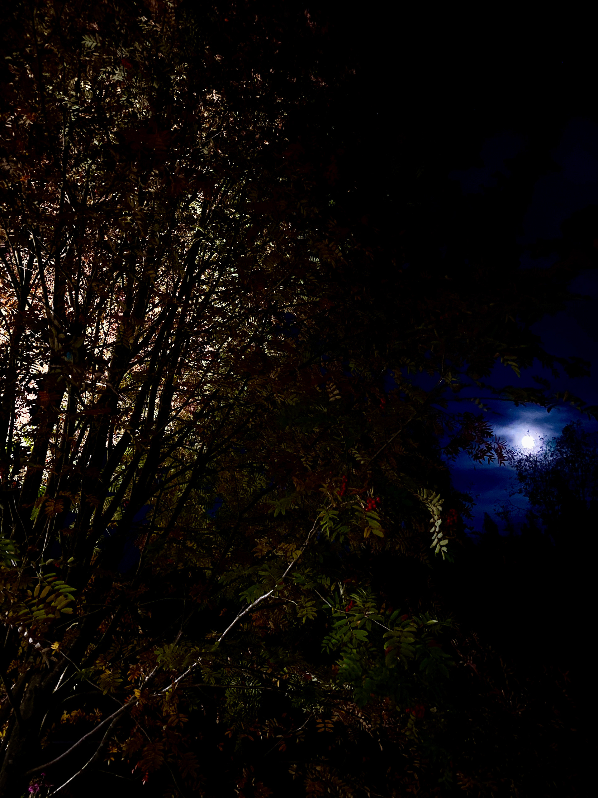syyskuu 2021 moon in september