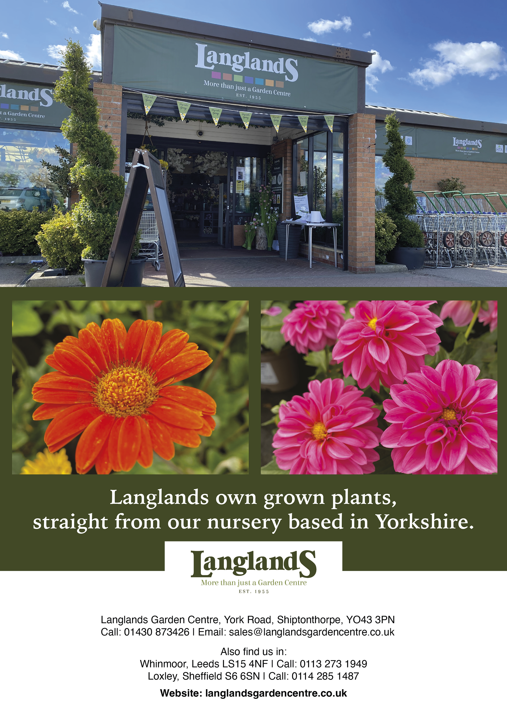 Langlands (single page)