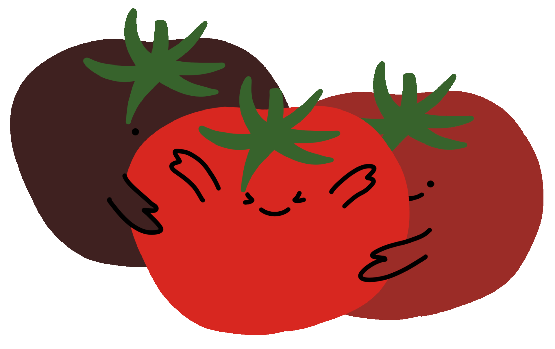 Tomatoes