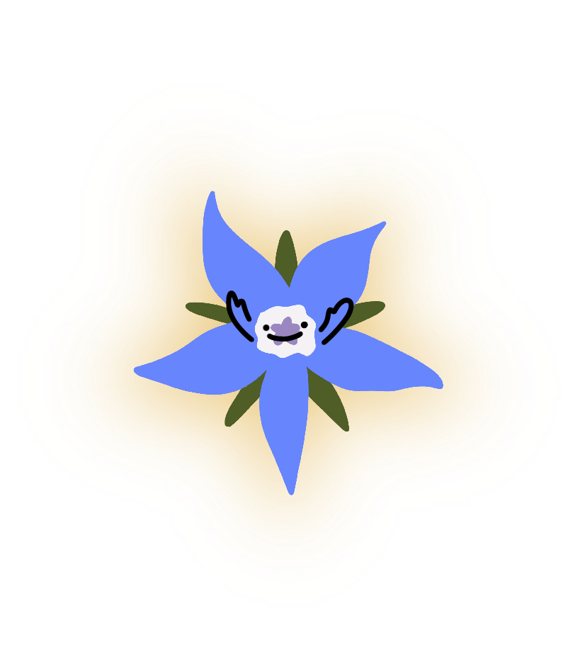 Star-Borage
