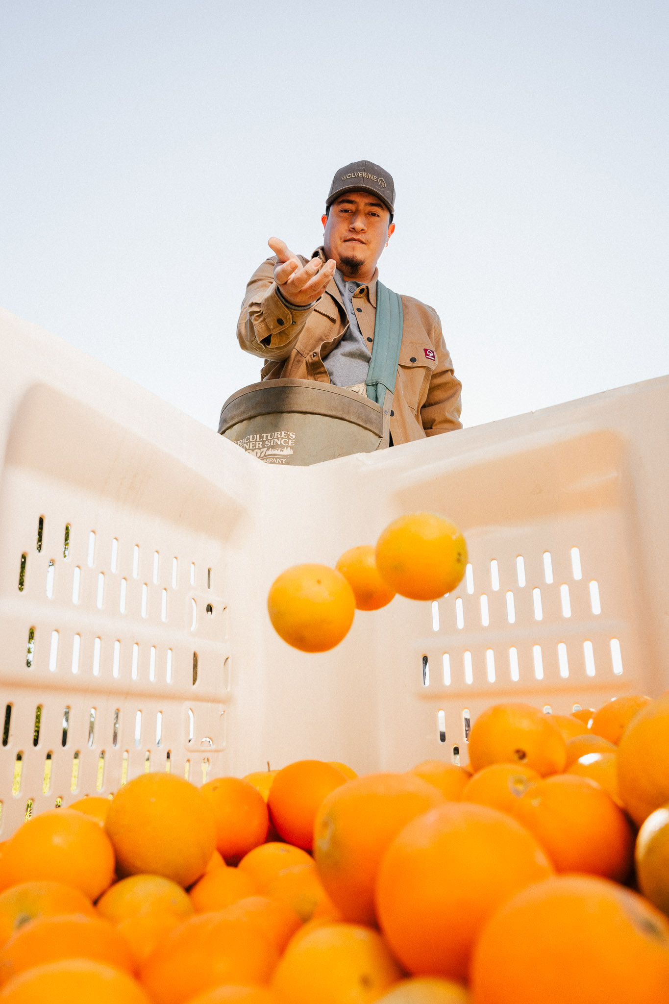 Carlos - Tenalu Citrus Farms