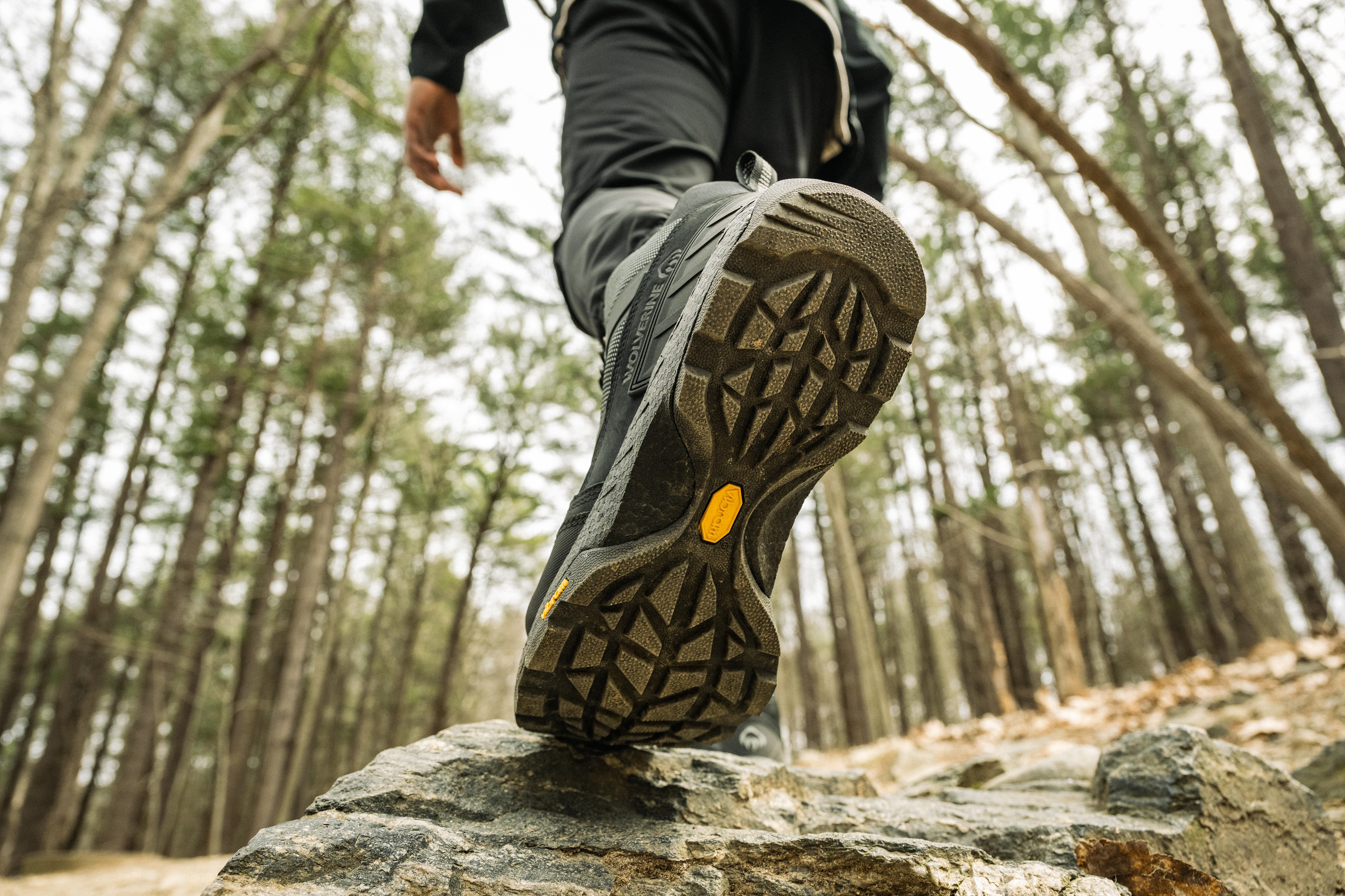 Wolverine Outdoor Guide - Jordan Grant