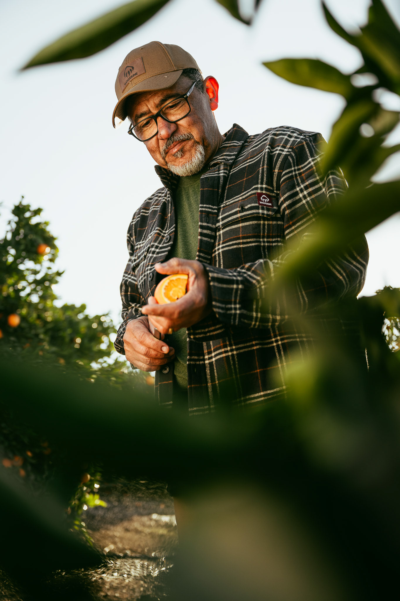 Jorge - Tenalu Citrus Farms