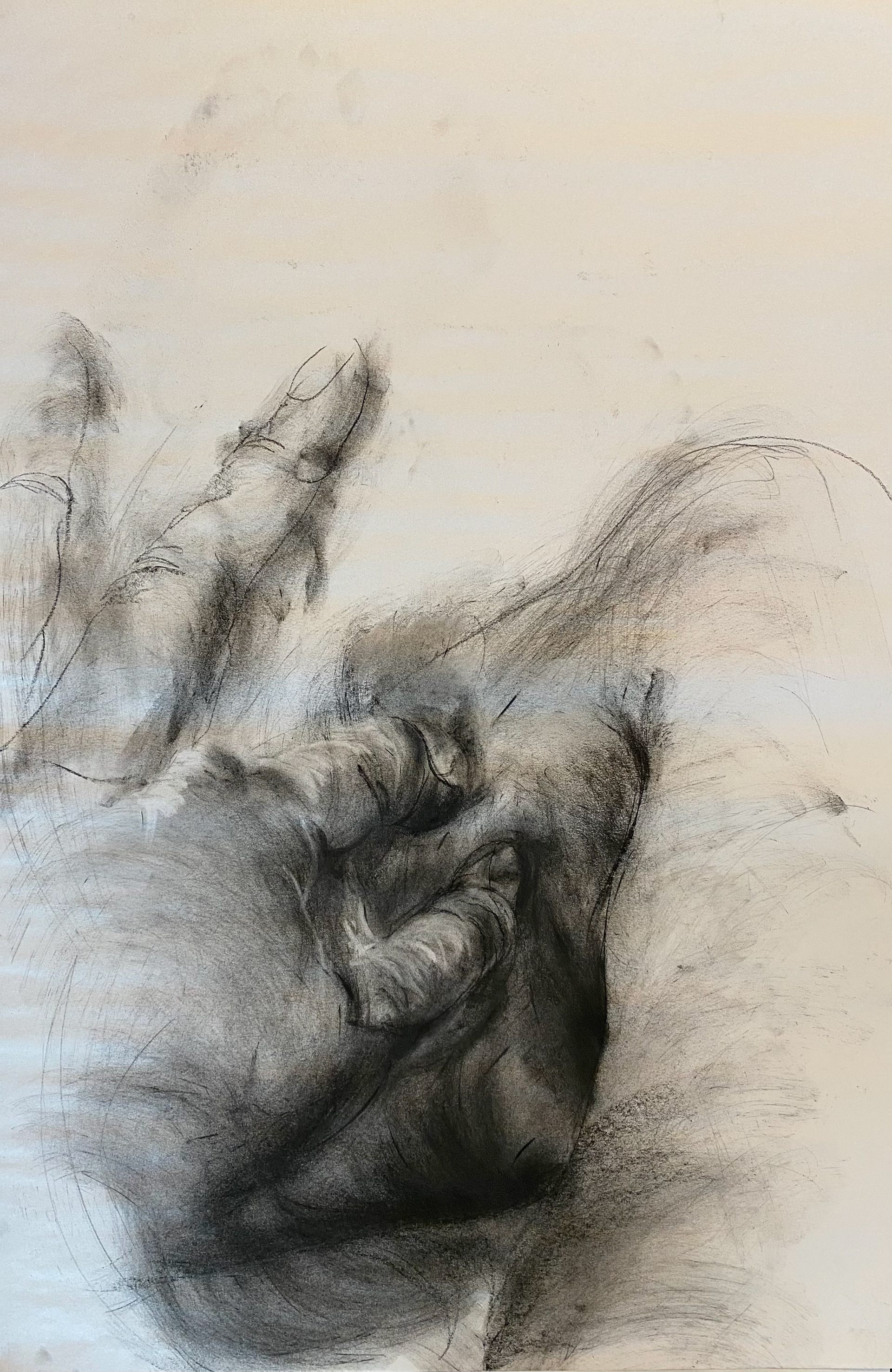 2021, Charcoal on newsprint, 24X36"