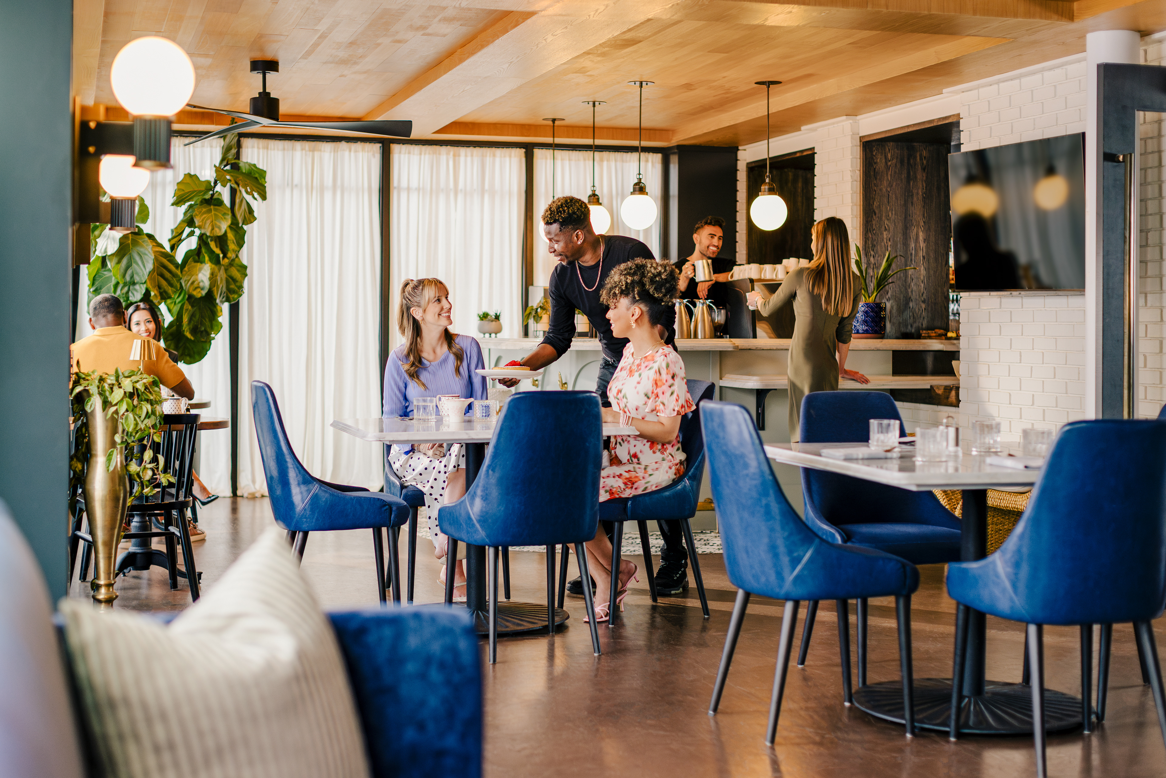 The Wylie, Tapestry Collection by Hilton