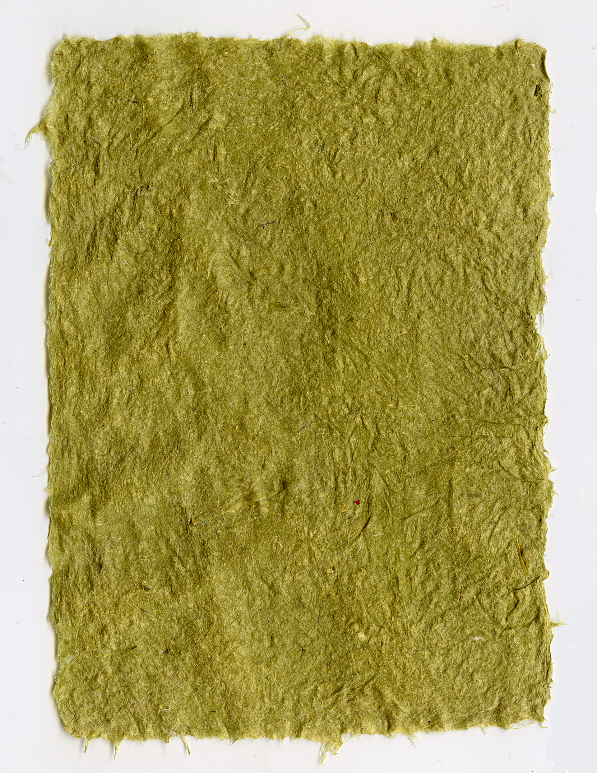 foxtail grass paper 4