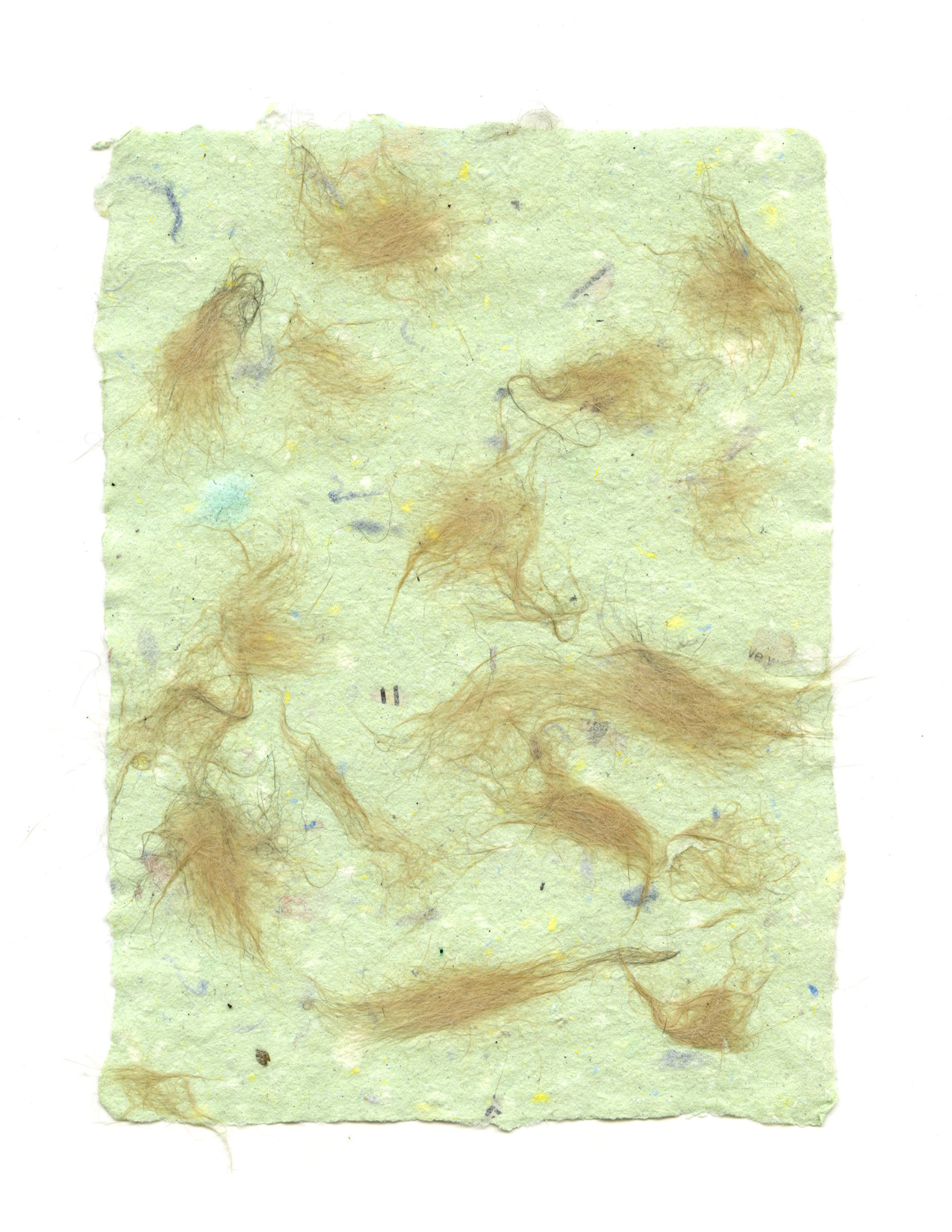 cat hair paper "Buff"