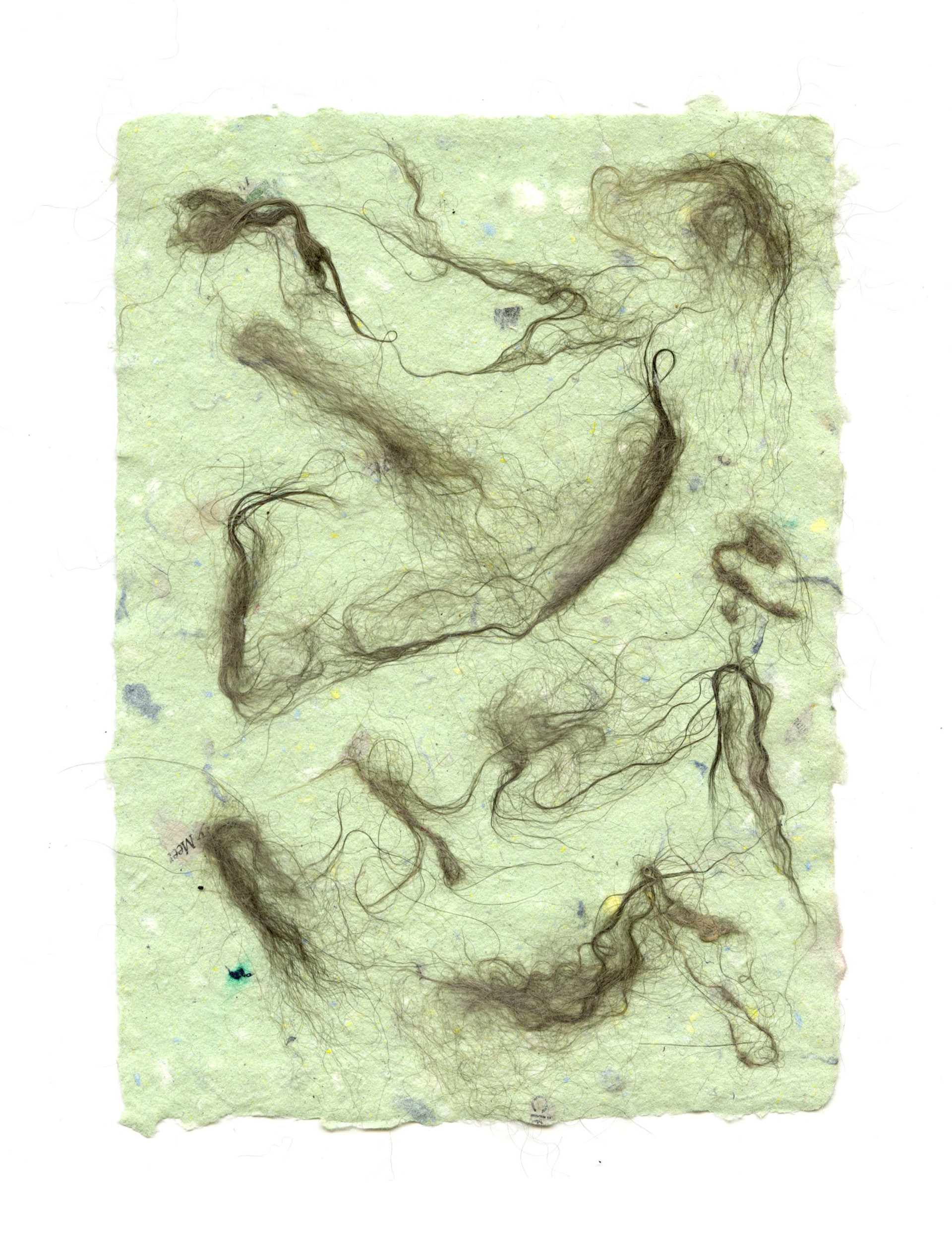 cat hair paper "Oscar"