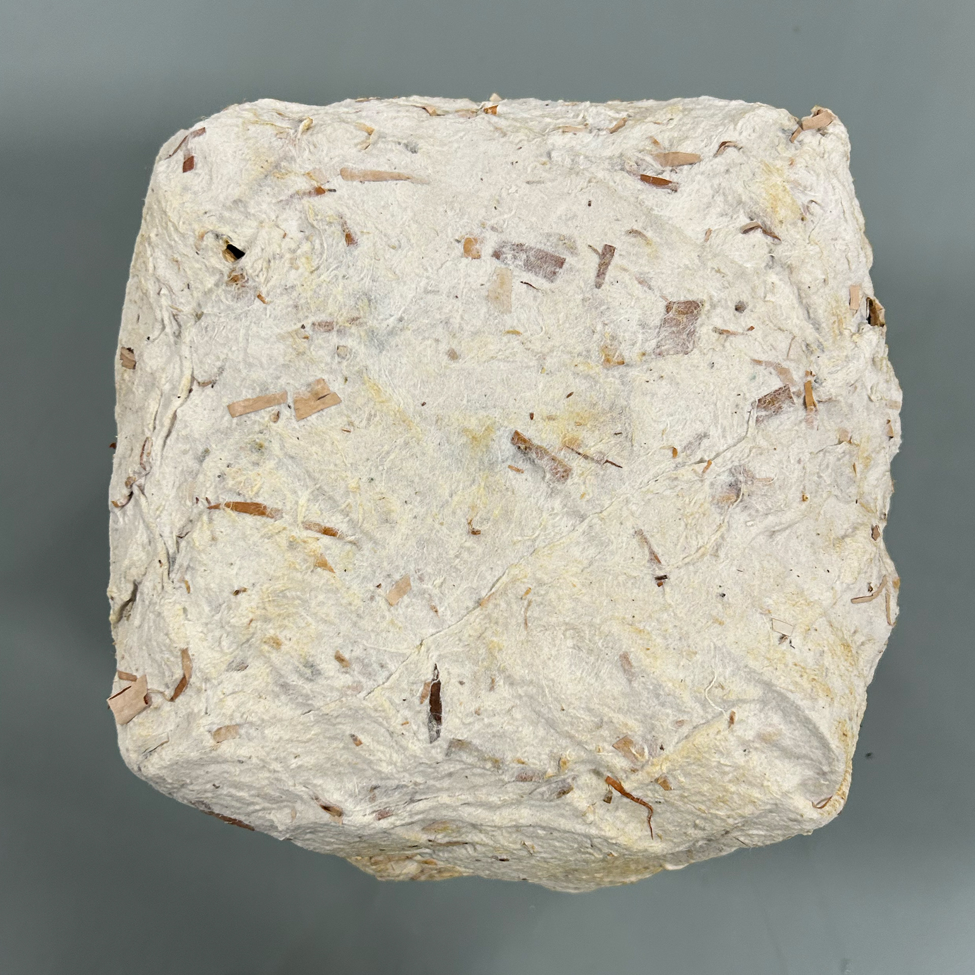 paper casting birchbark basket (view of bottom of basket)