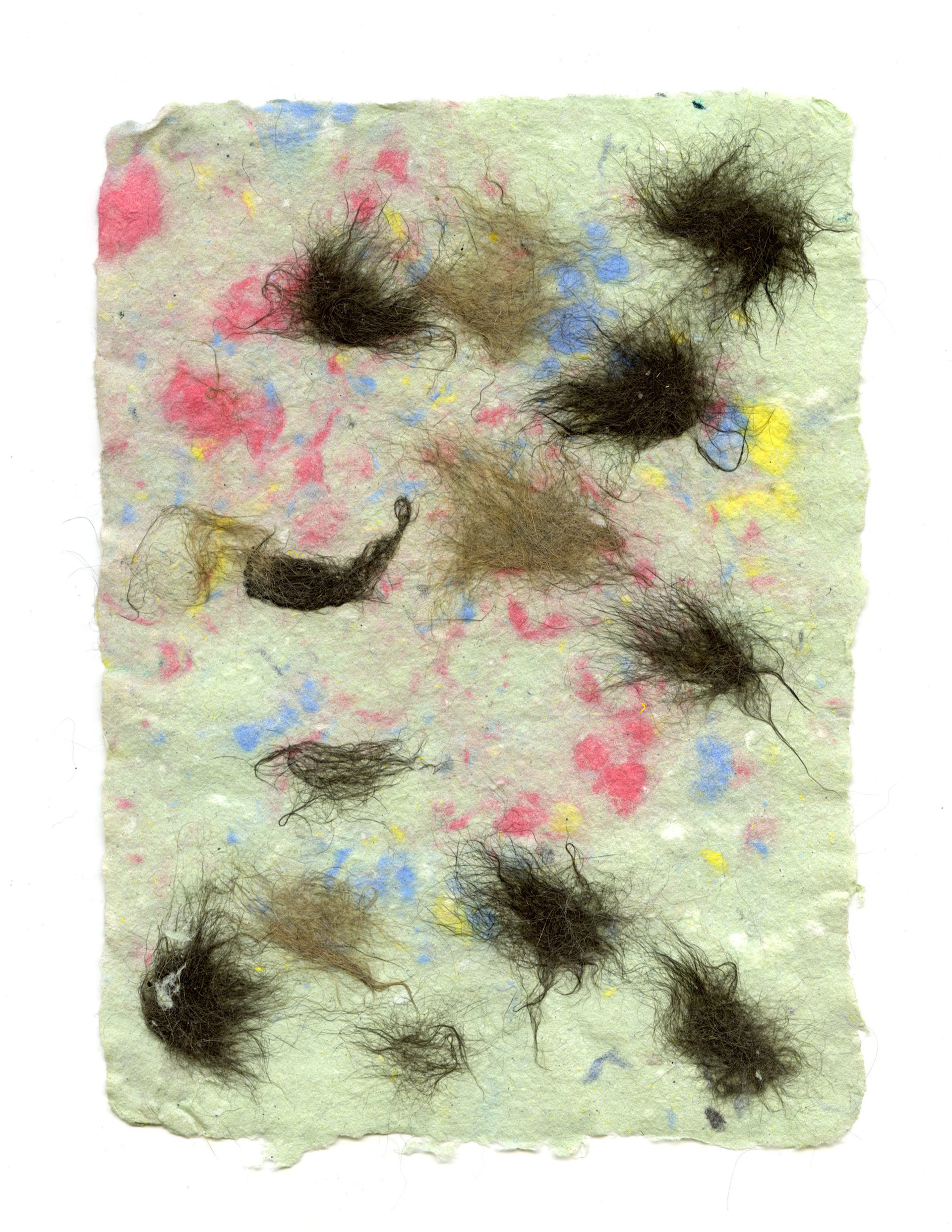 cat hair paper "Dennis and Oscar"