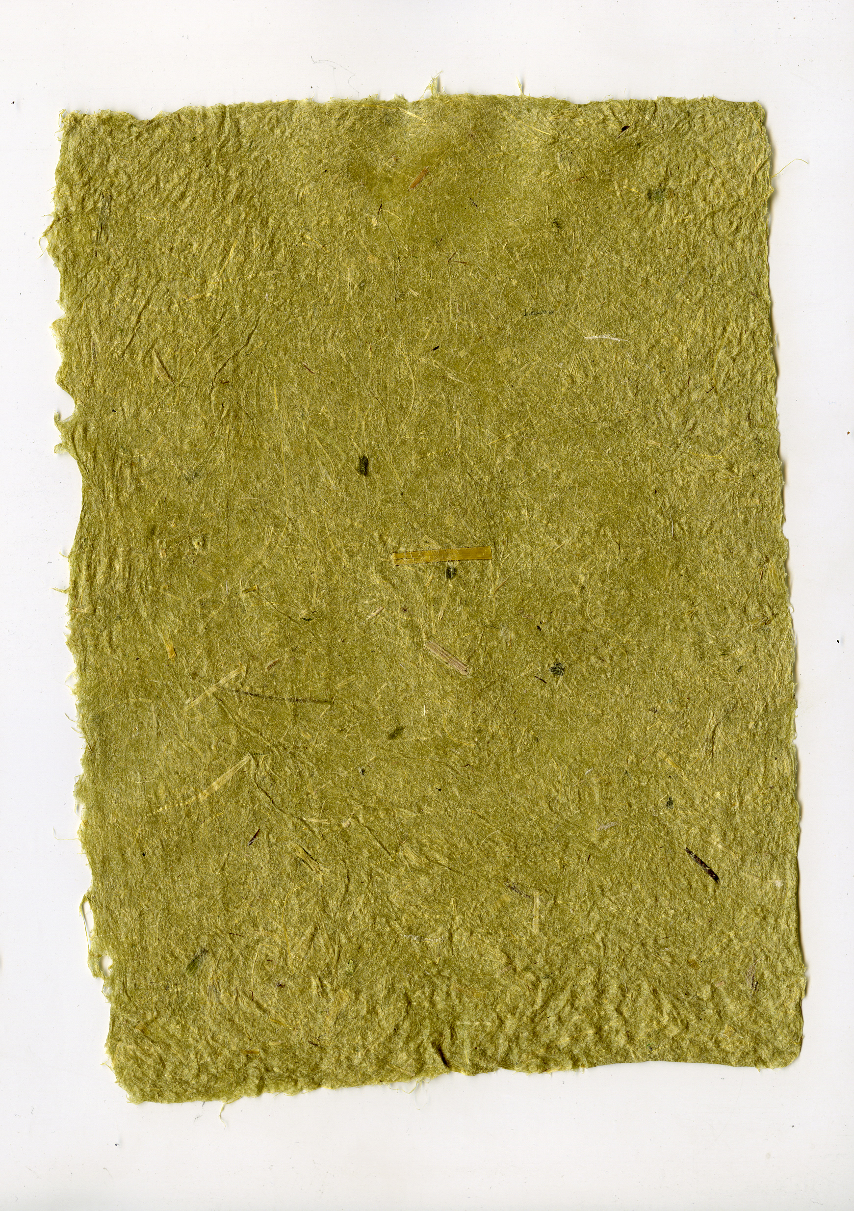 foxtail grass paper 1