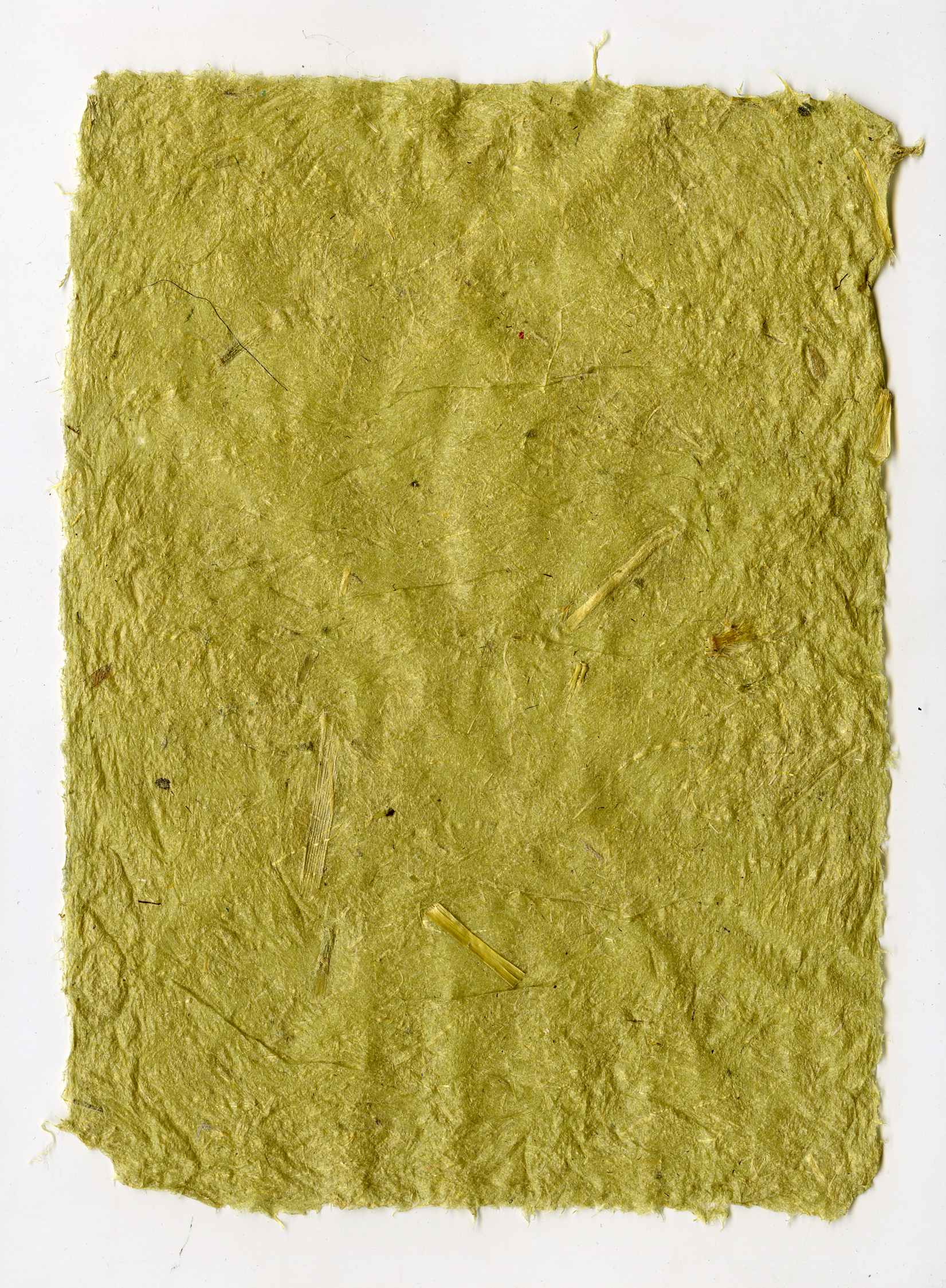 foxtail grass paper 3