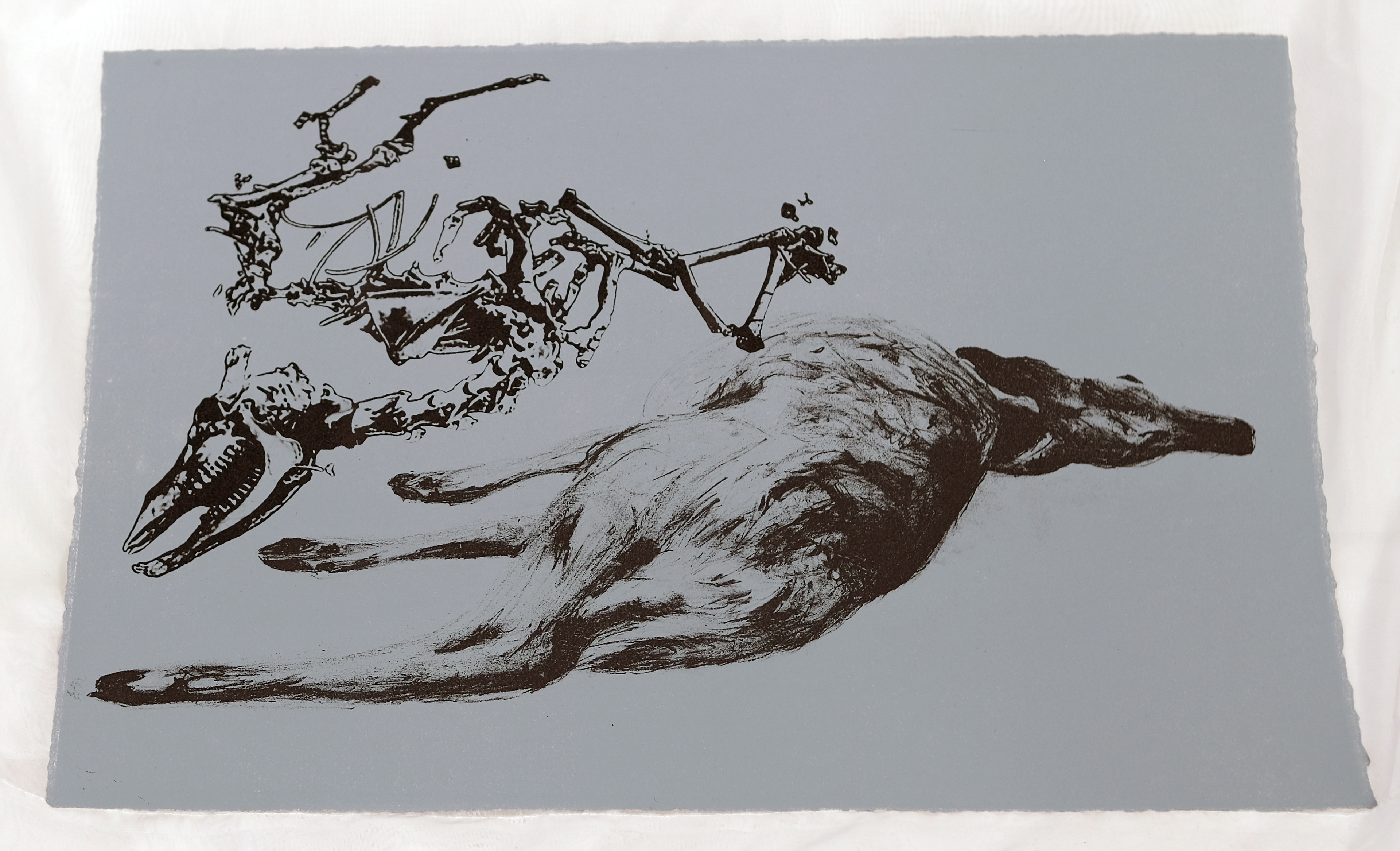 Waawaashkeshi - Lithograph