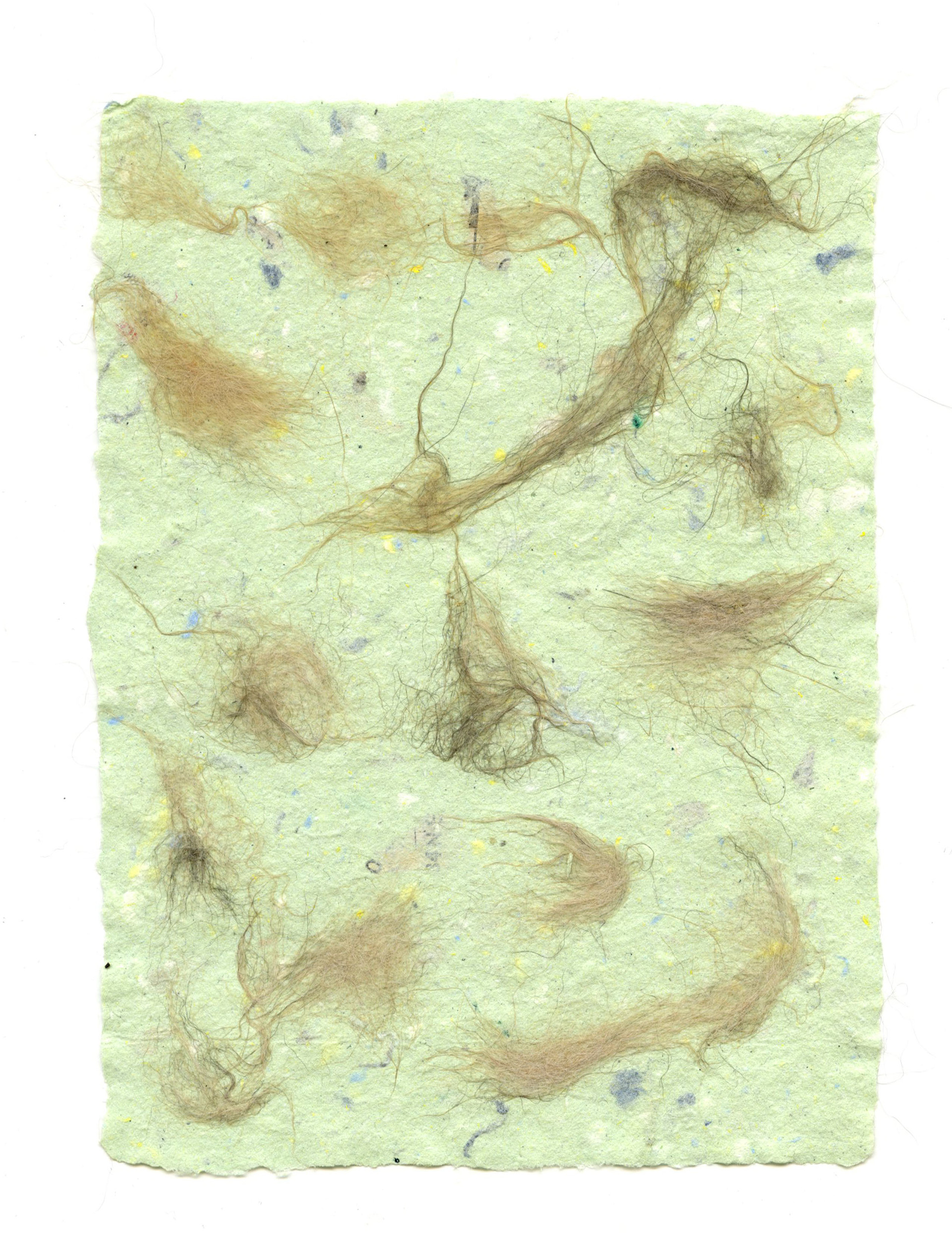 cat hair paper "Chopper"