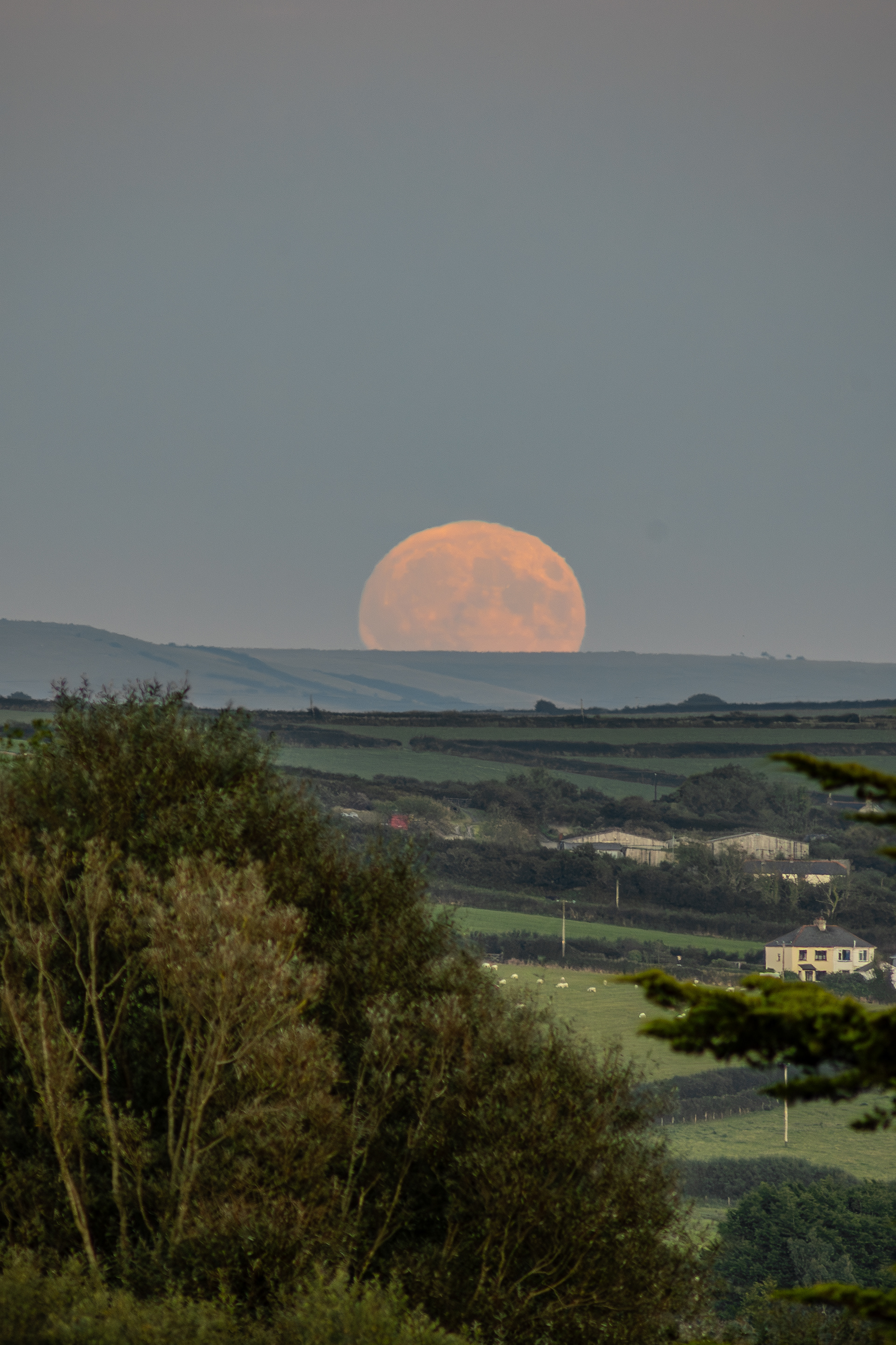 Harvest Super Moon