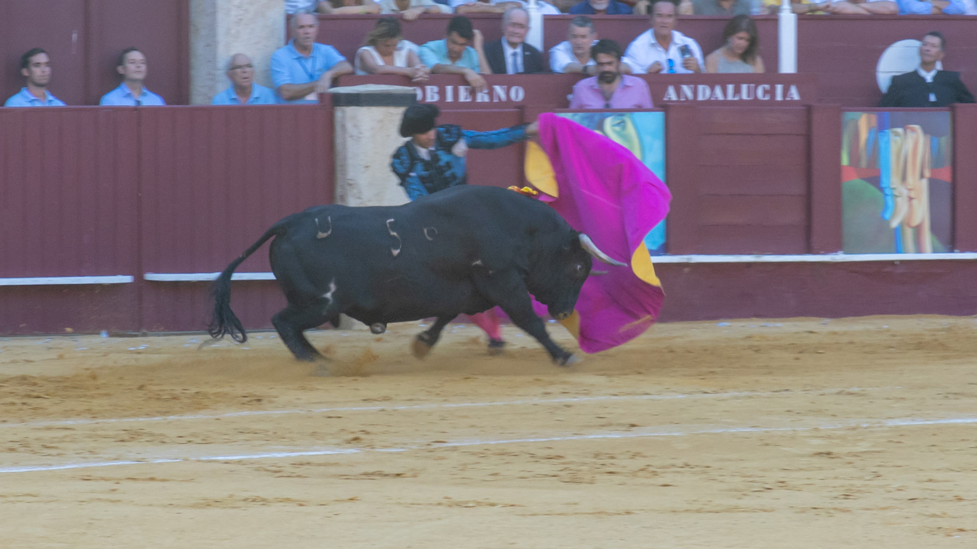 La Corrida Picassiana de Málaga. Málaga, Spain. 2022.