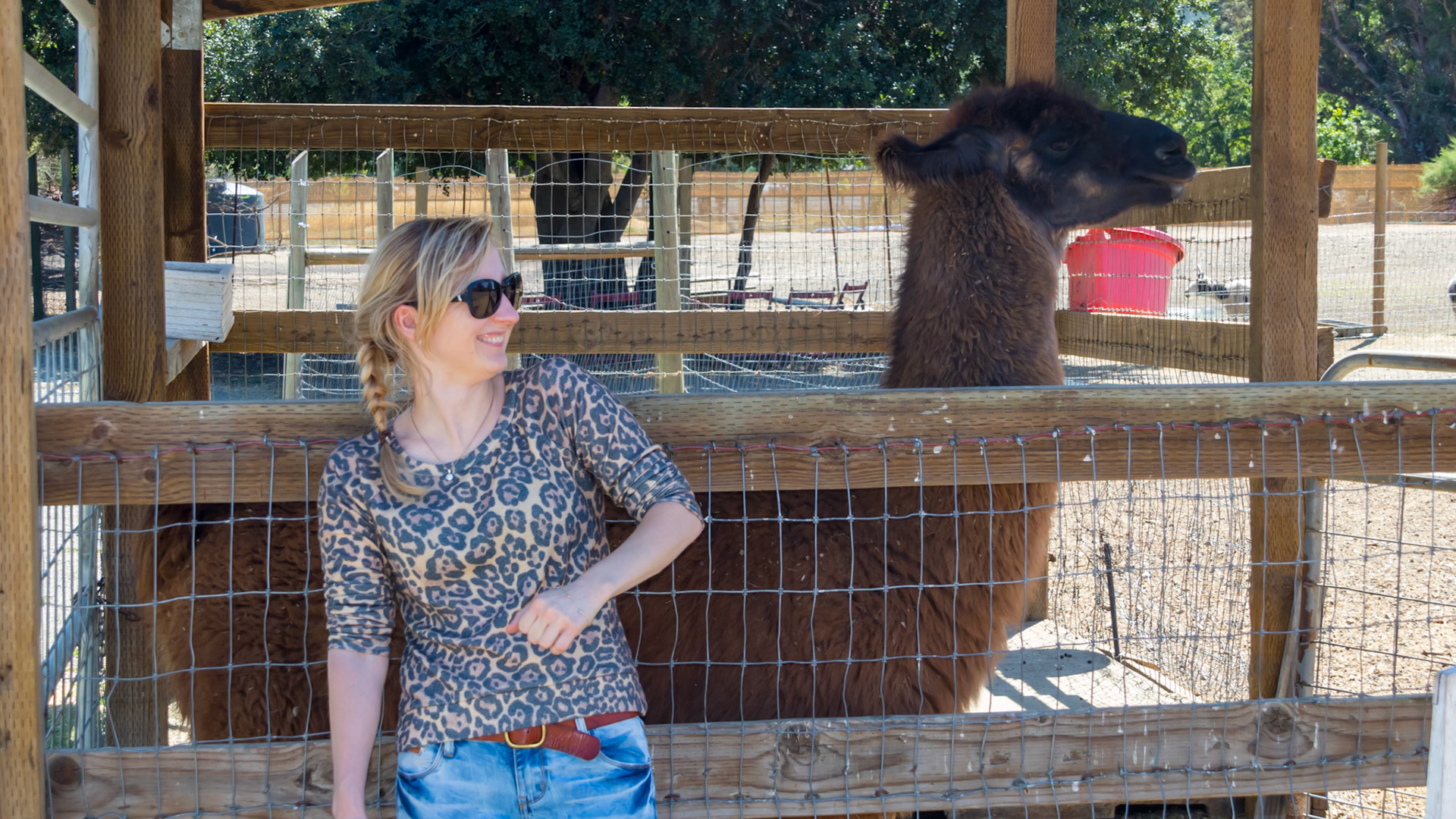 Napa Valley. USA. 2015.