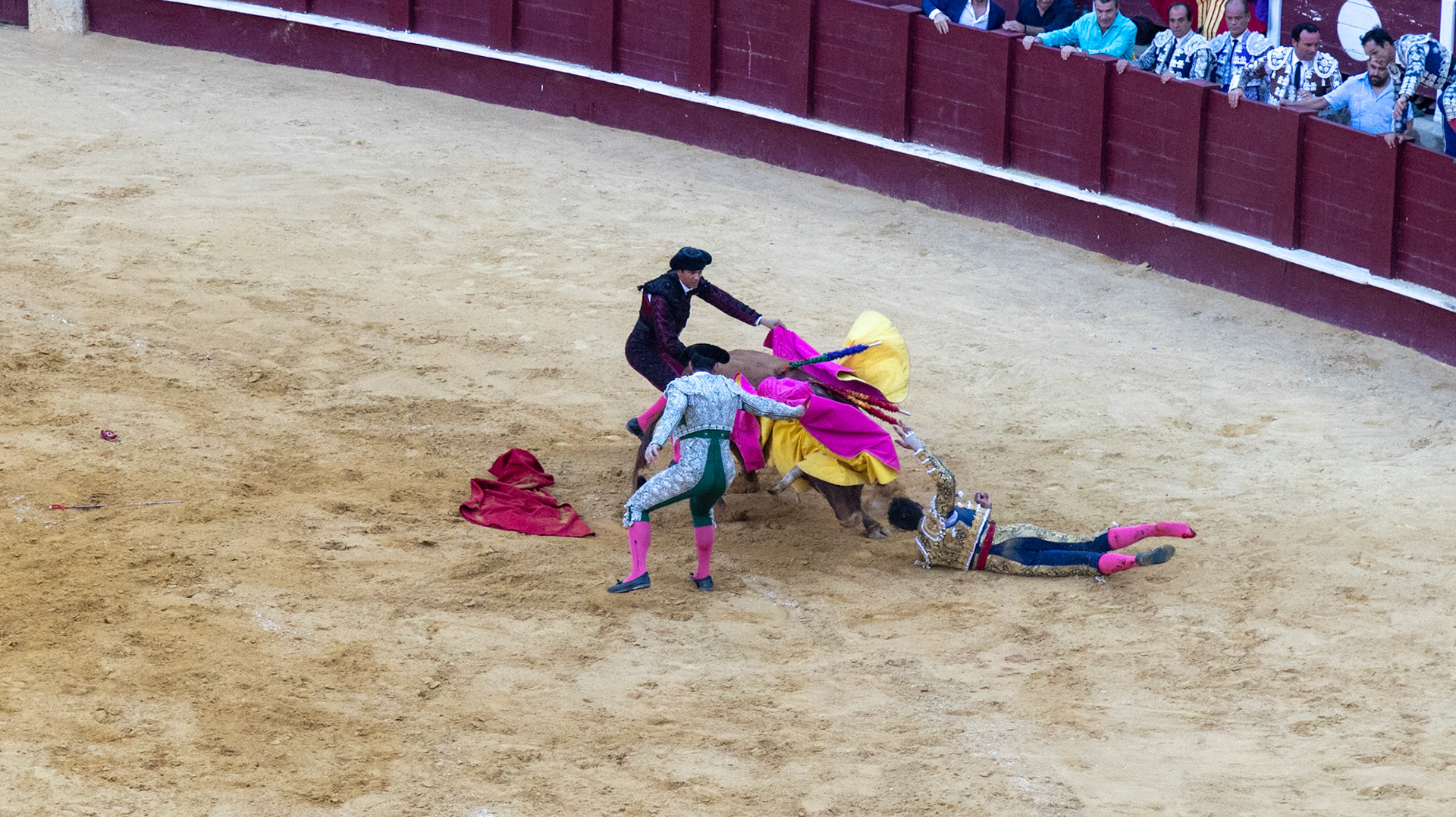 La Corrida de Málaga. Málaga, Spain. 2022.