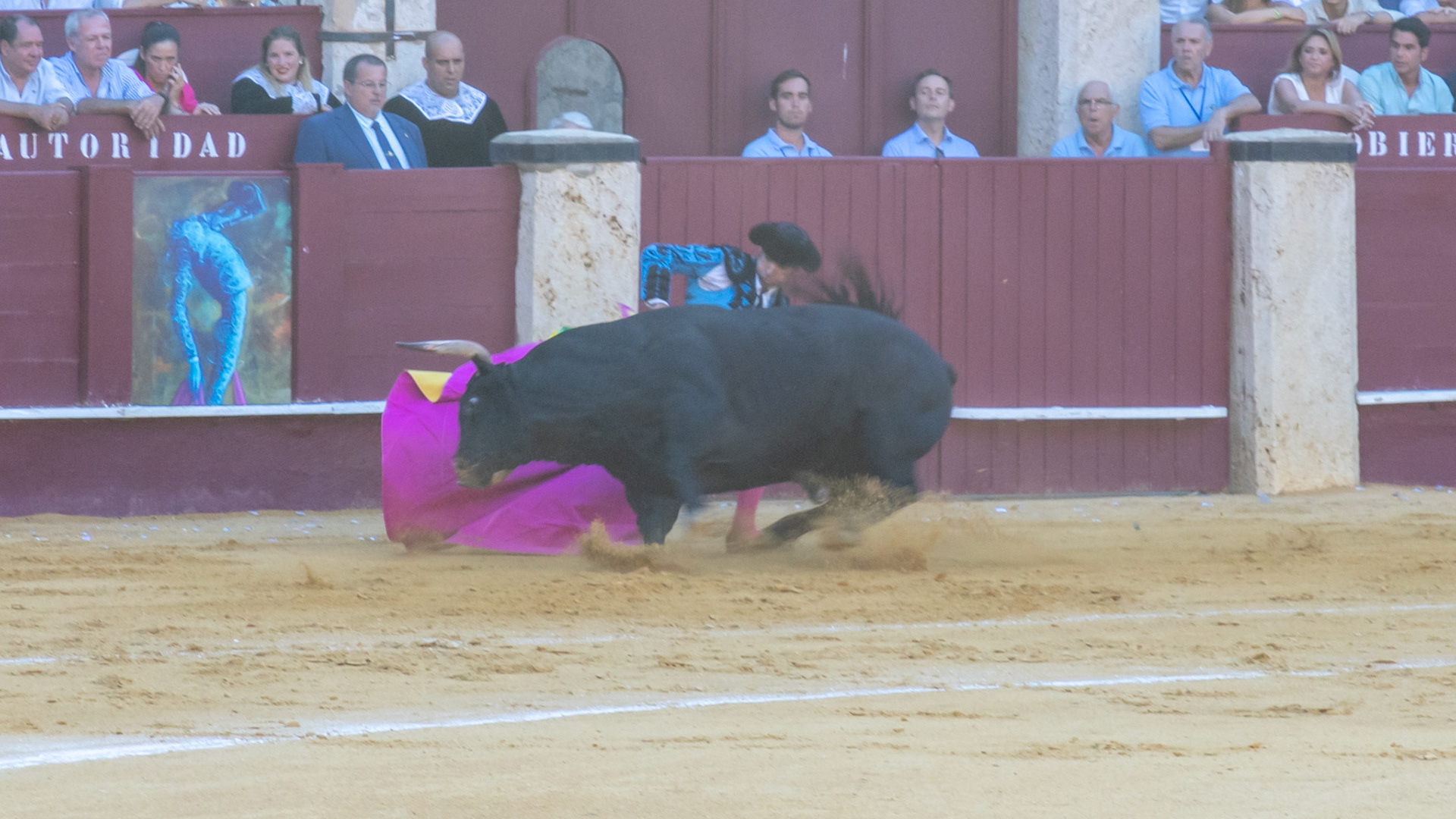 La Corrida Picassiana de Málaga. Málaga, Spain. 2022.