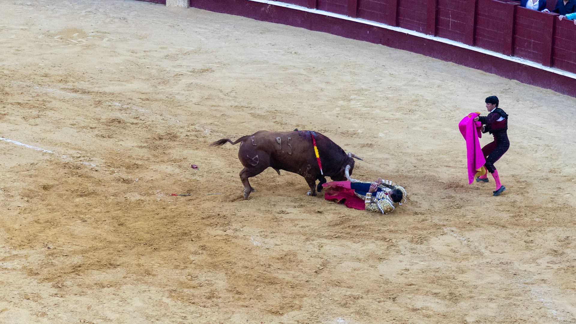 La Corrida de Málaga. Málaga, Spain. 2022.