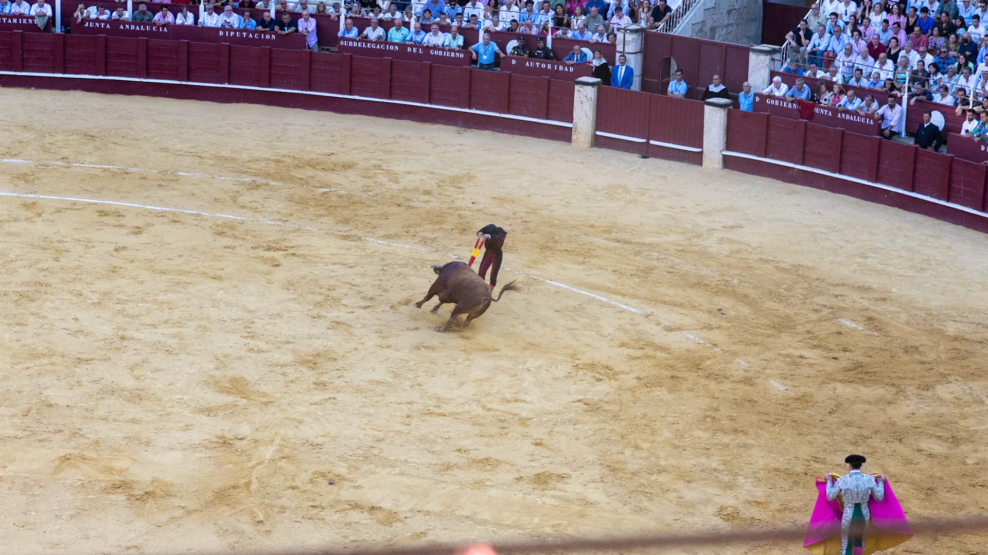 La Corrida de Málaga. Málaga, Spain. 2022.