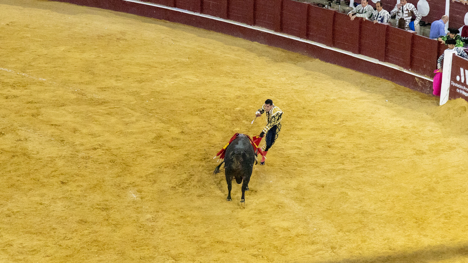 La Corrida de Málaga. Málaga, Spain. 2022.