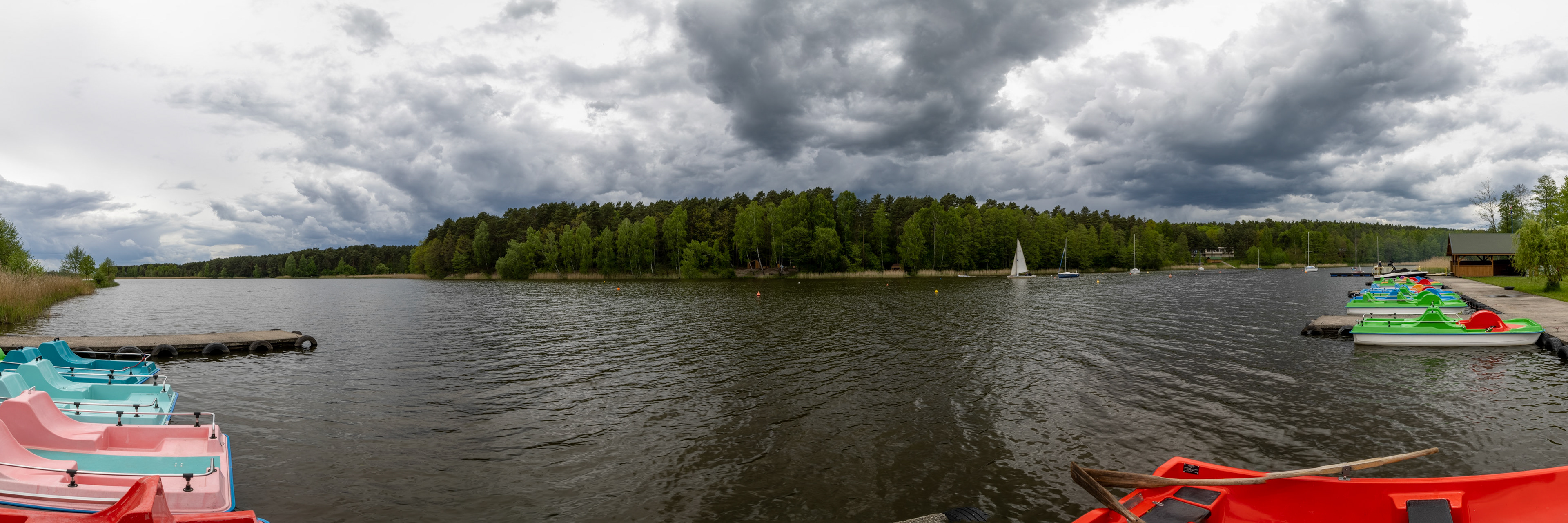 Cedzyna, Poland 2021.