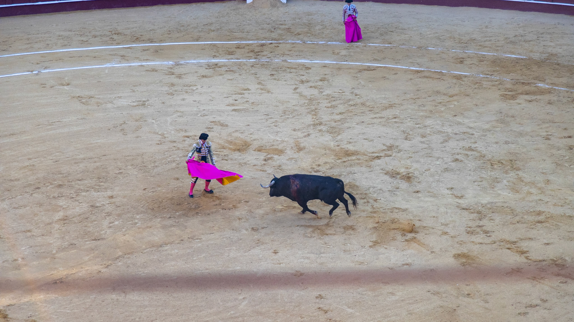 La Corrida de Málaga. Málaga, Spain. 2022.