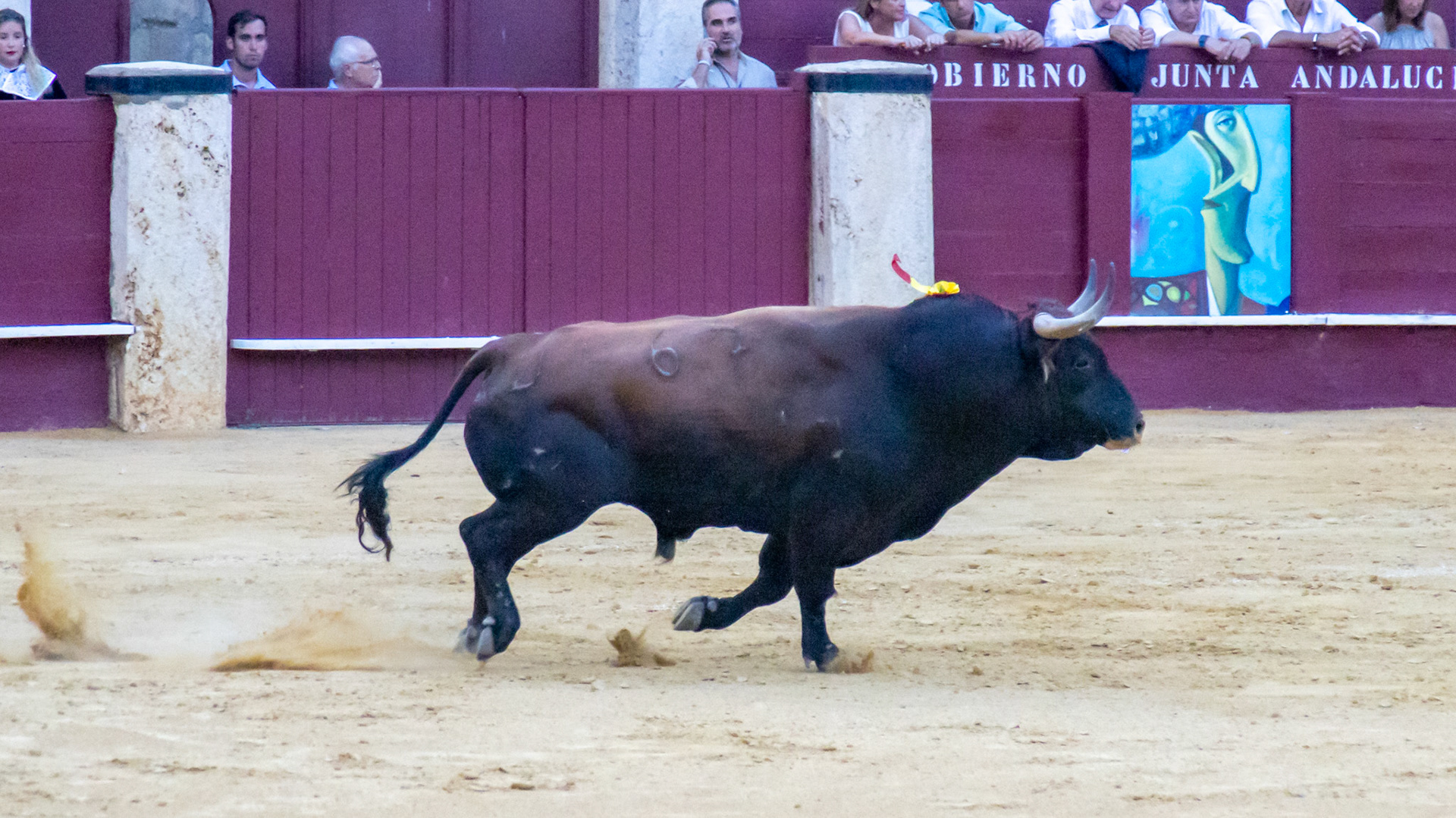 La Corrida Picassiana de Málaga. Málaga, Spain. 2022.