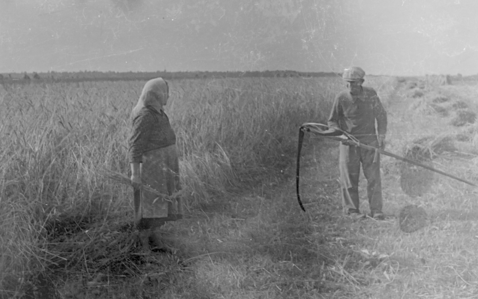 Janina i Jan Gregułowie 1966