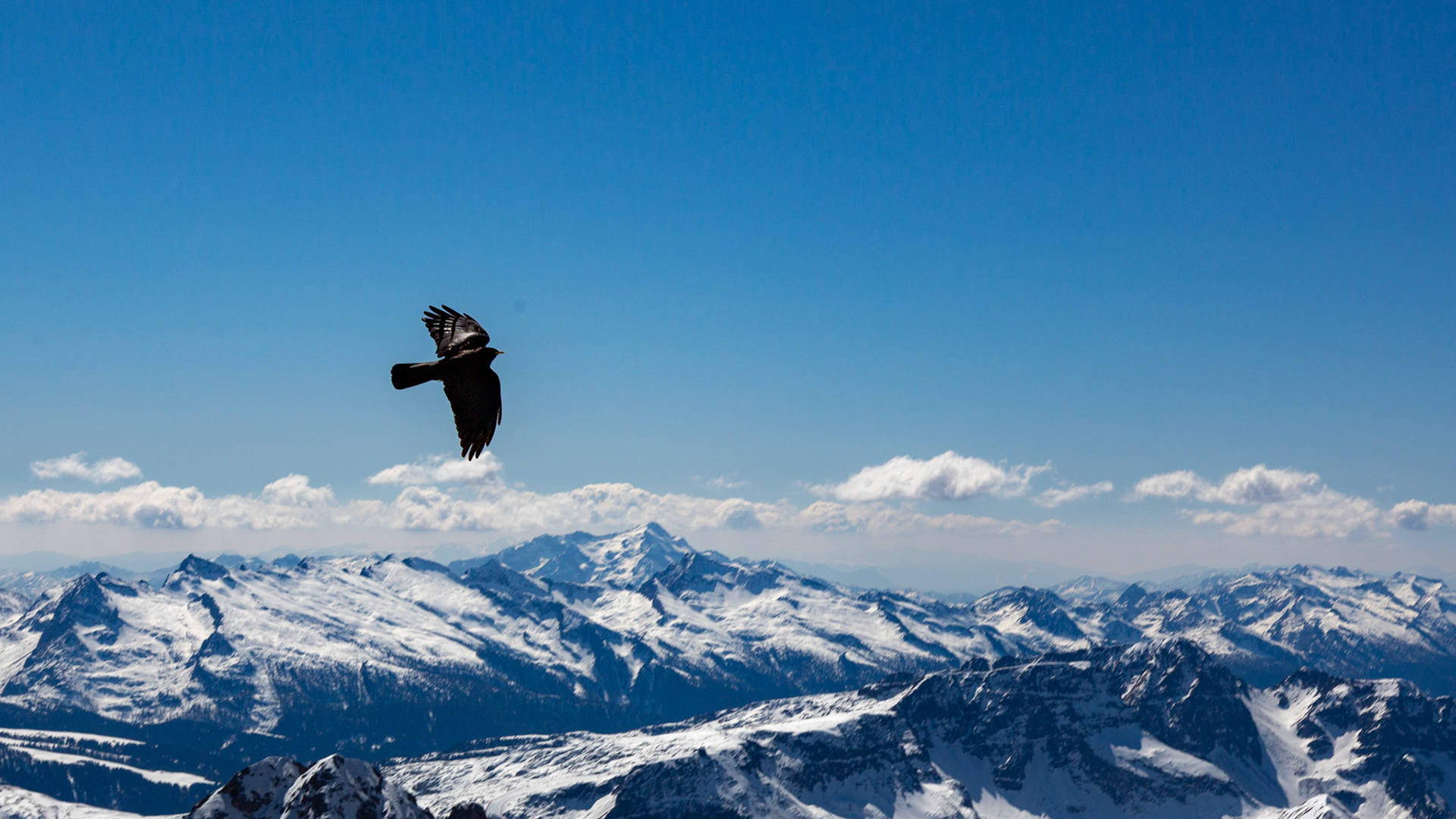 Marmolada, Italy. 2019.