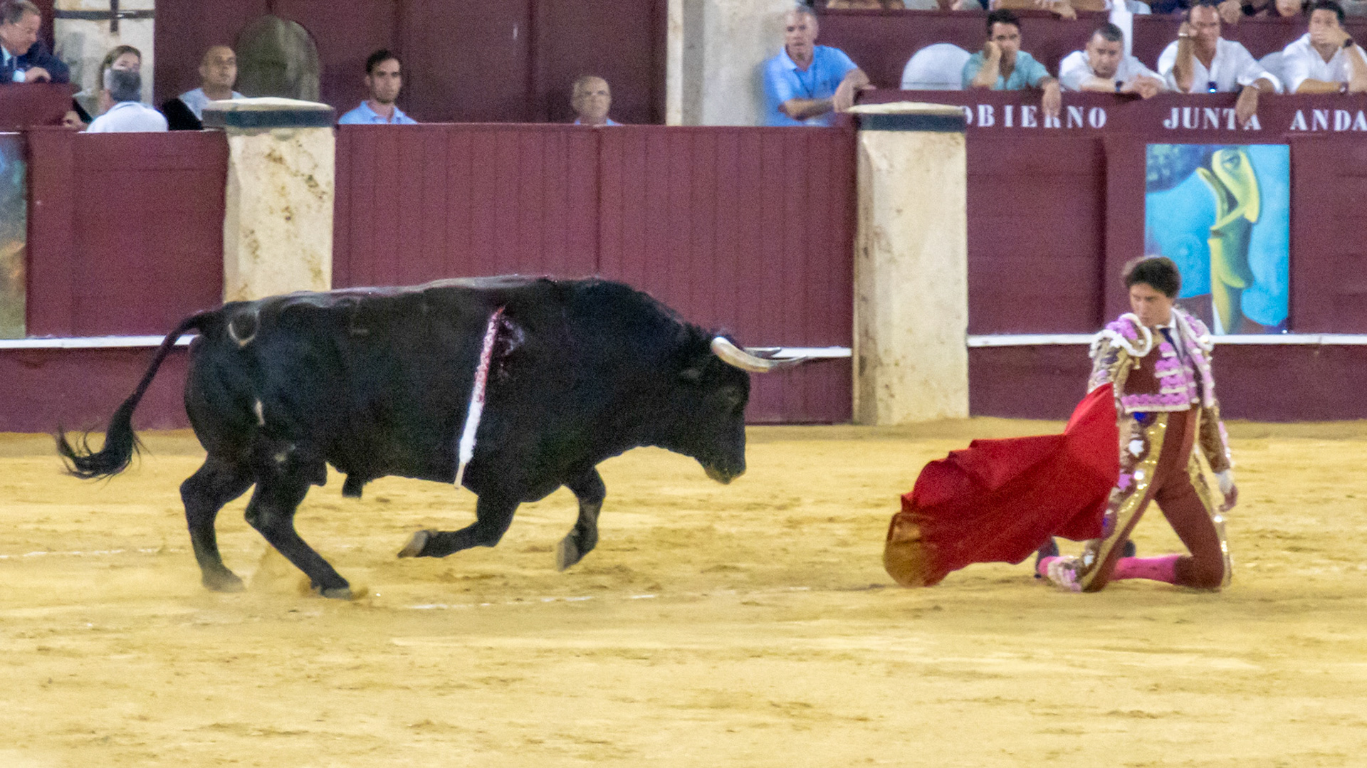 La Corrida Picassiana de Málaga. Málaga, Spain. 2022.