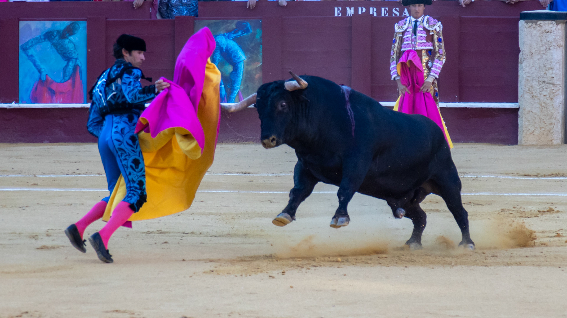 La Corrida Picassiana de Málaga. Málaga, Spain. 2022.